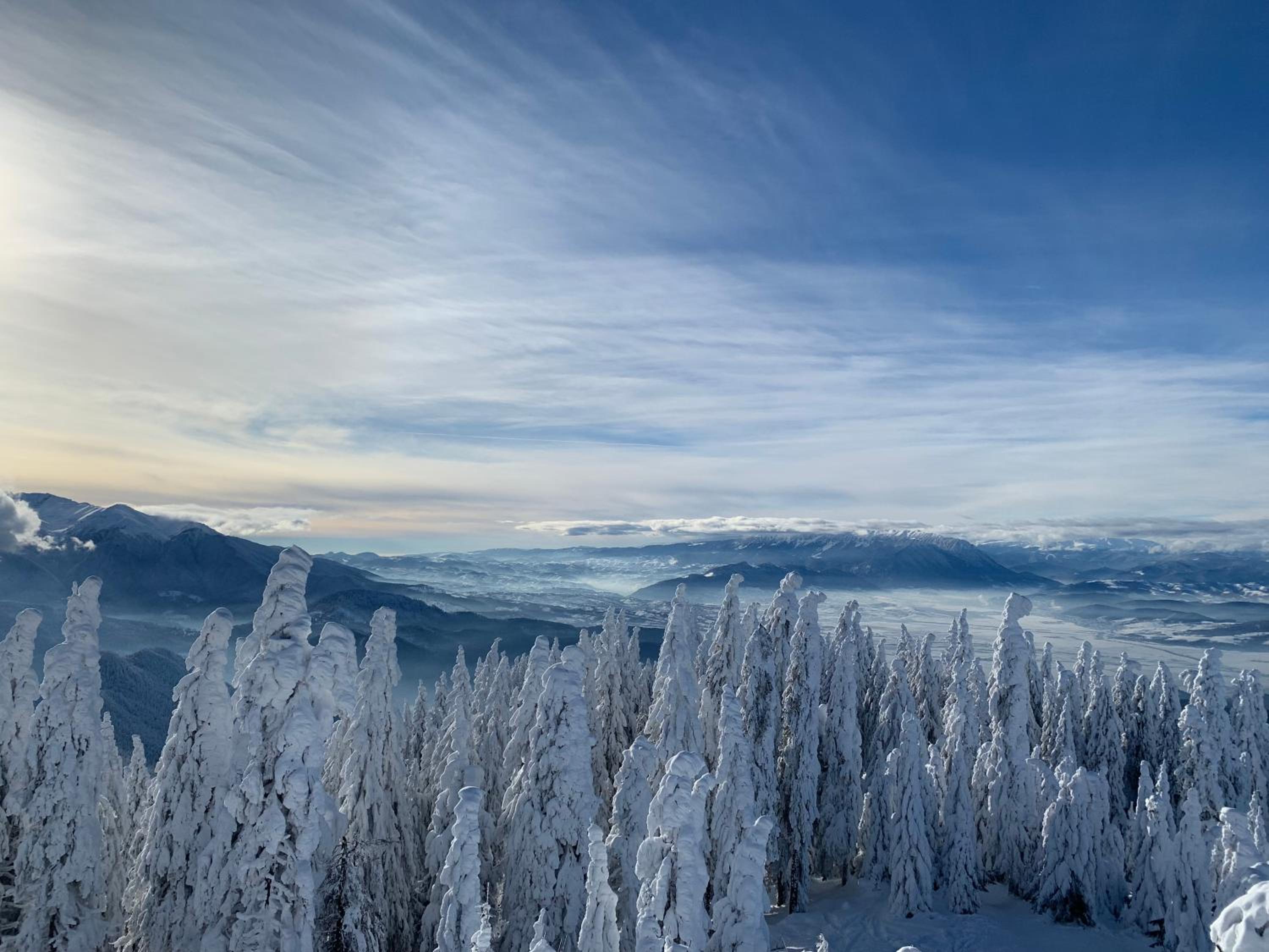 Silver Mountain