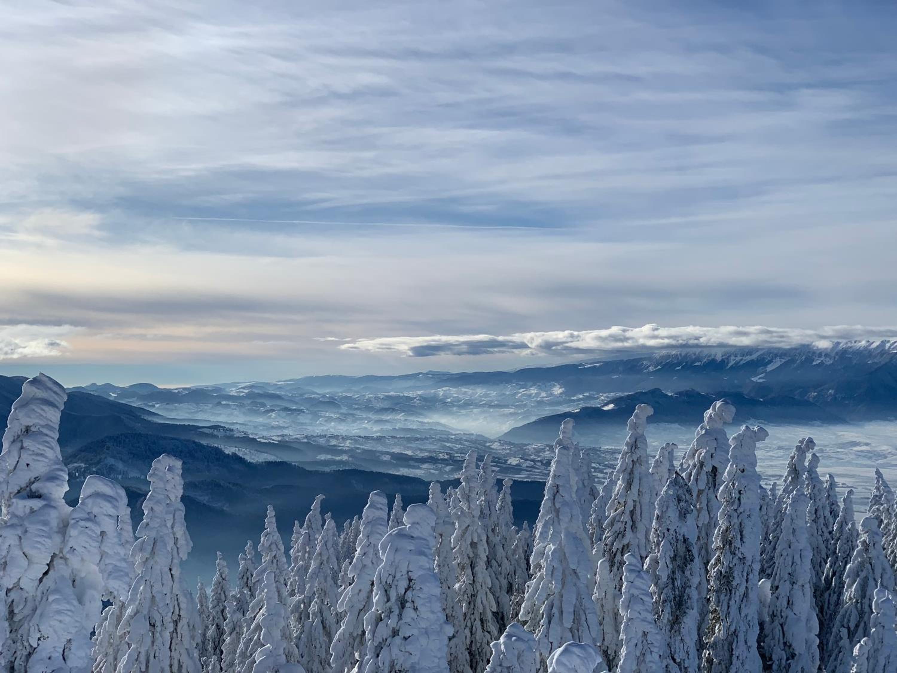 Silver Mountain
