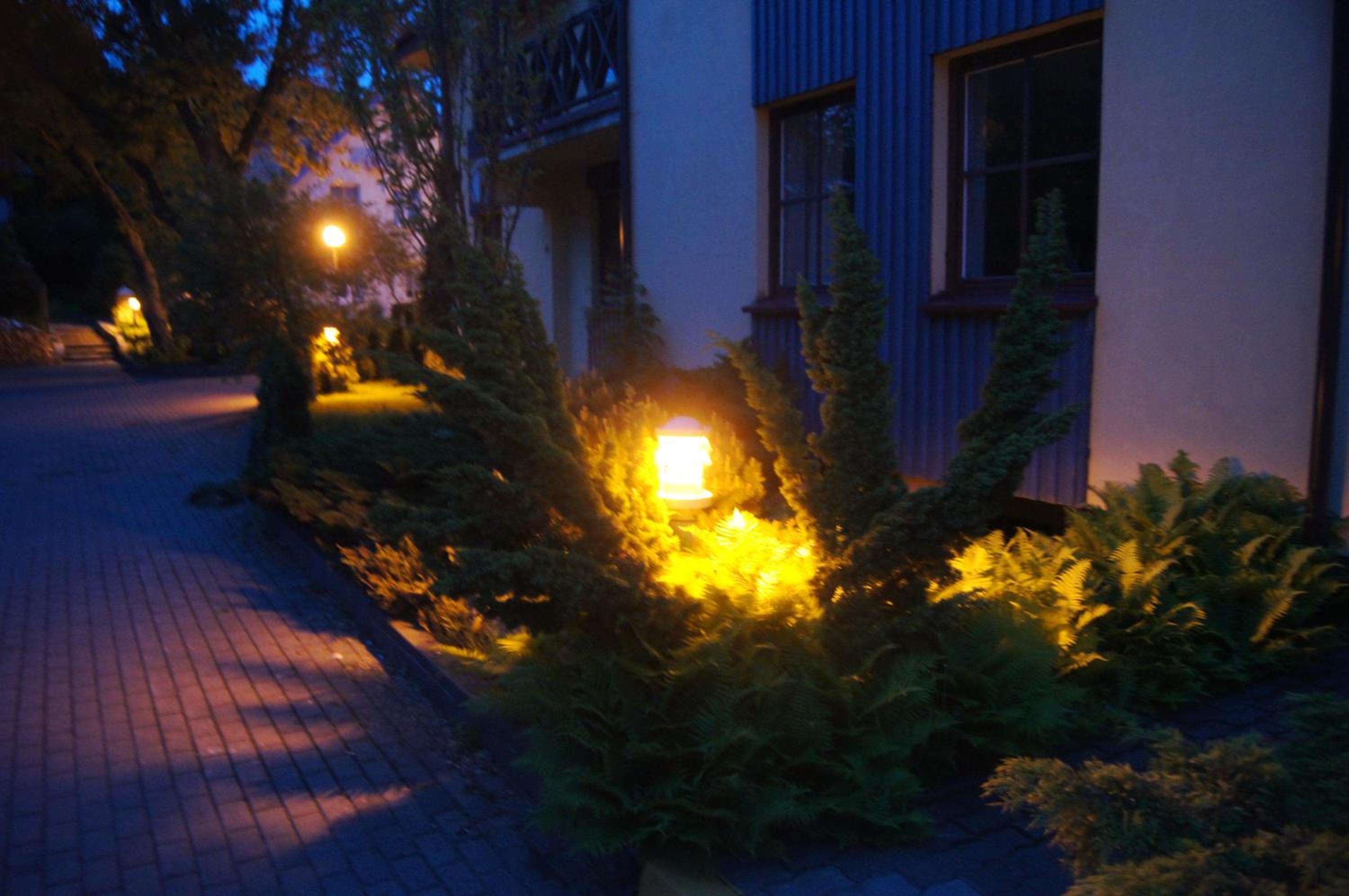 Photo 44