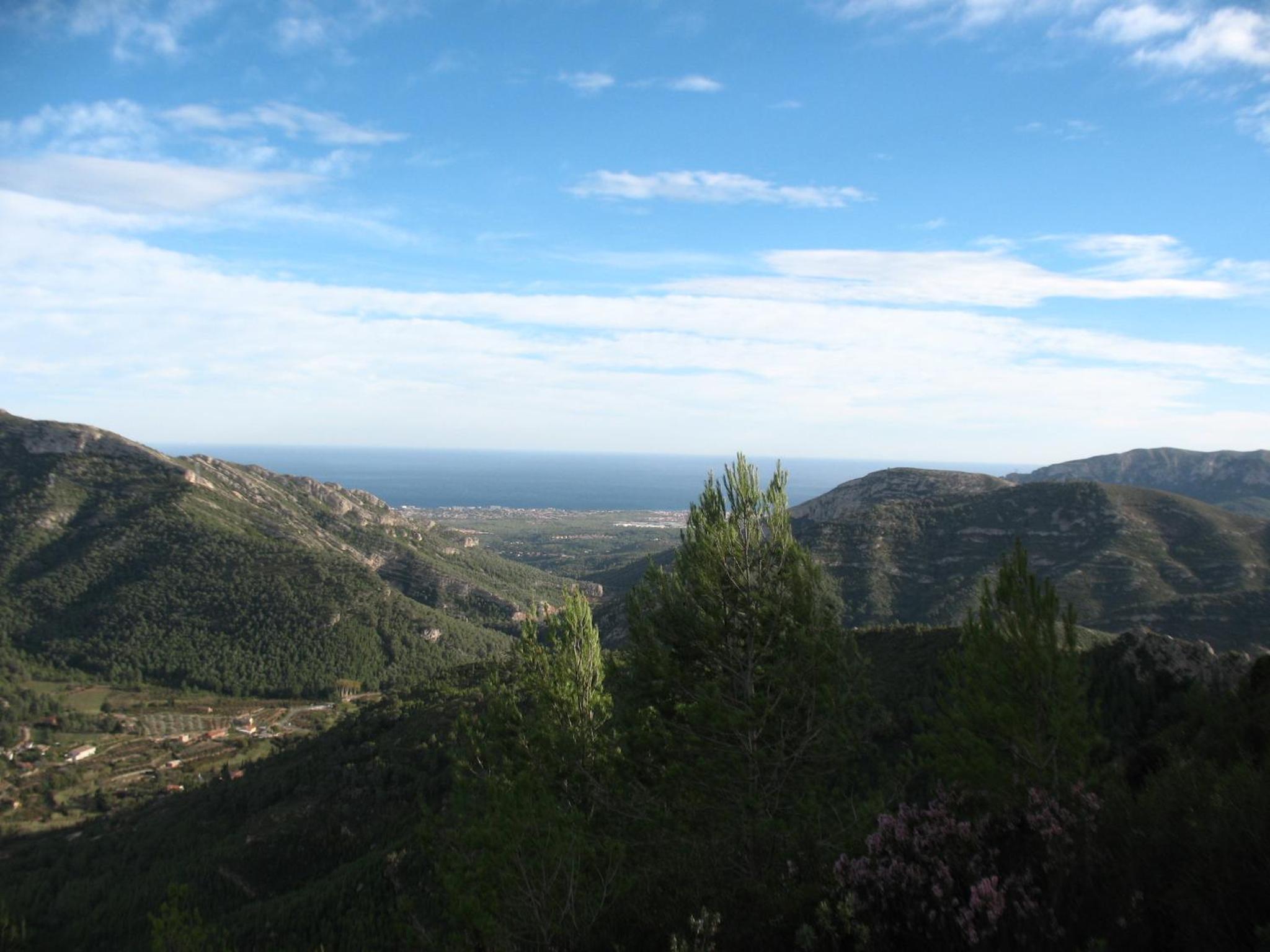 Photo 41