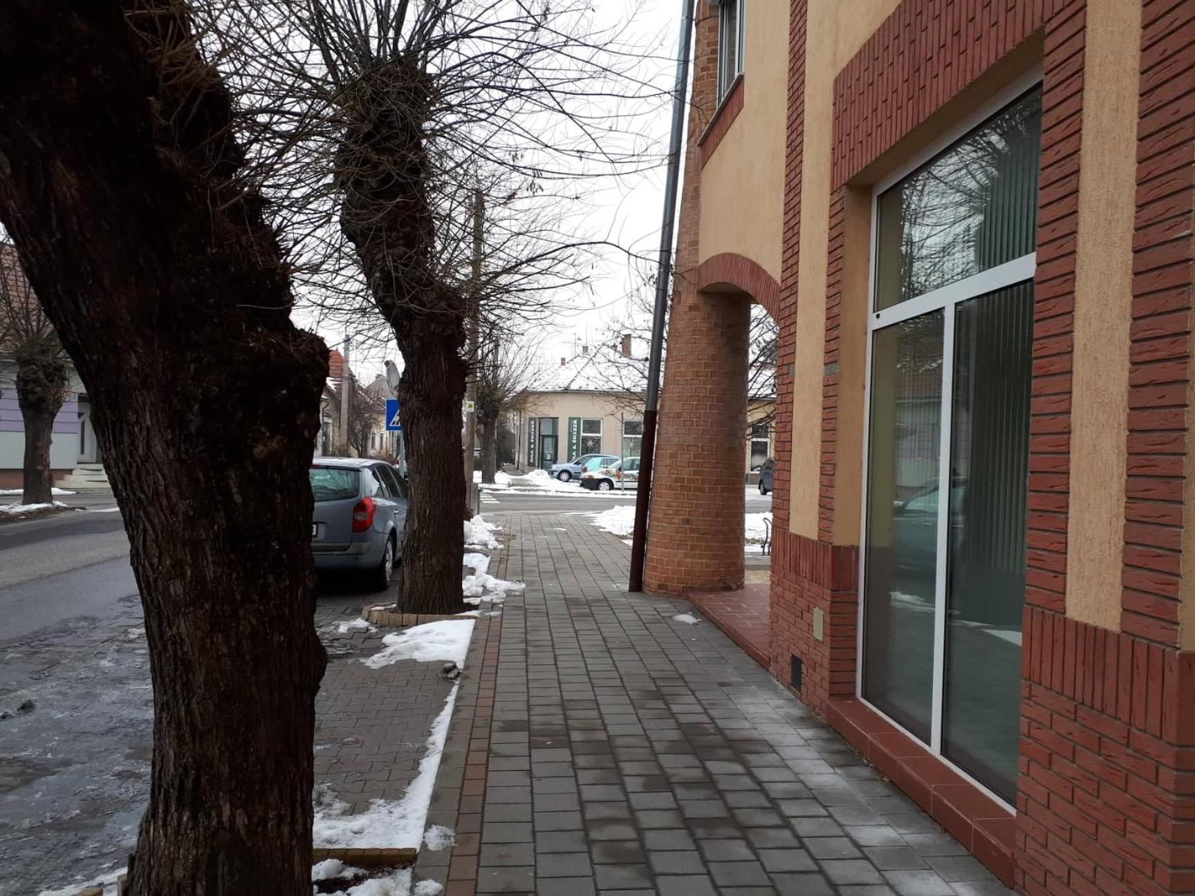 Photo 34
