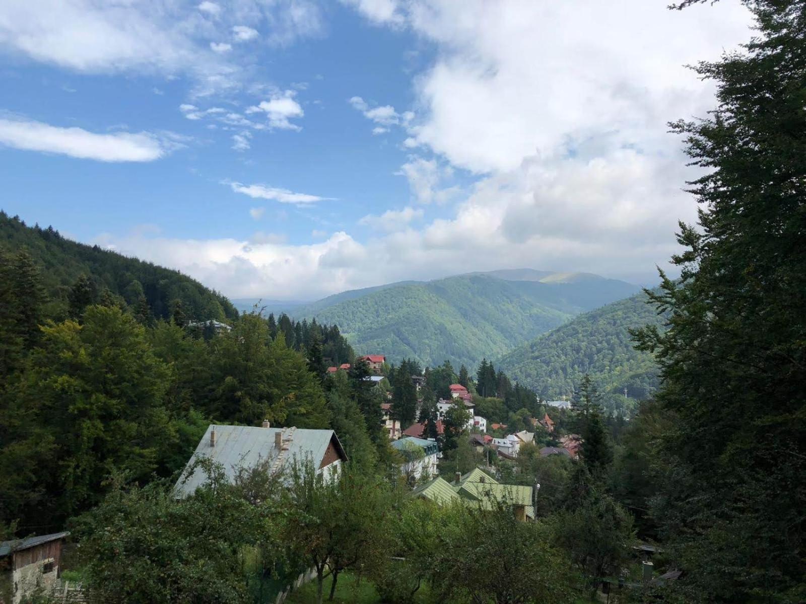 Vila Panoramica Sinaia view 3