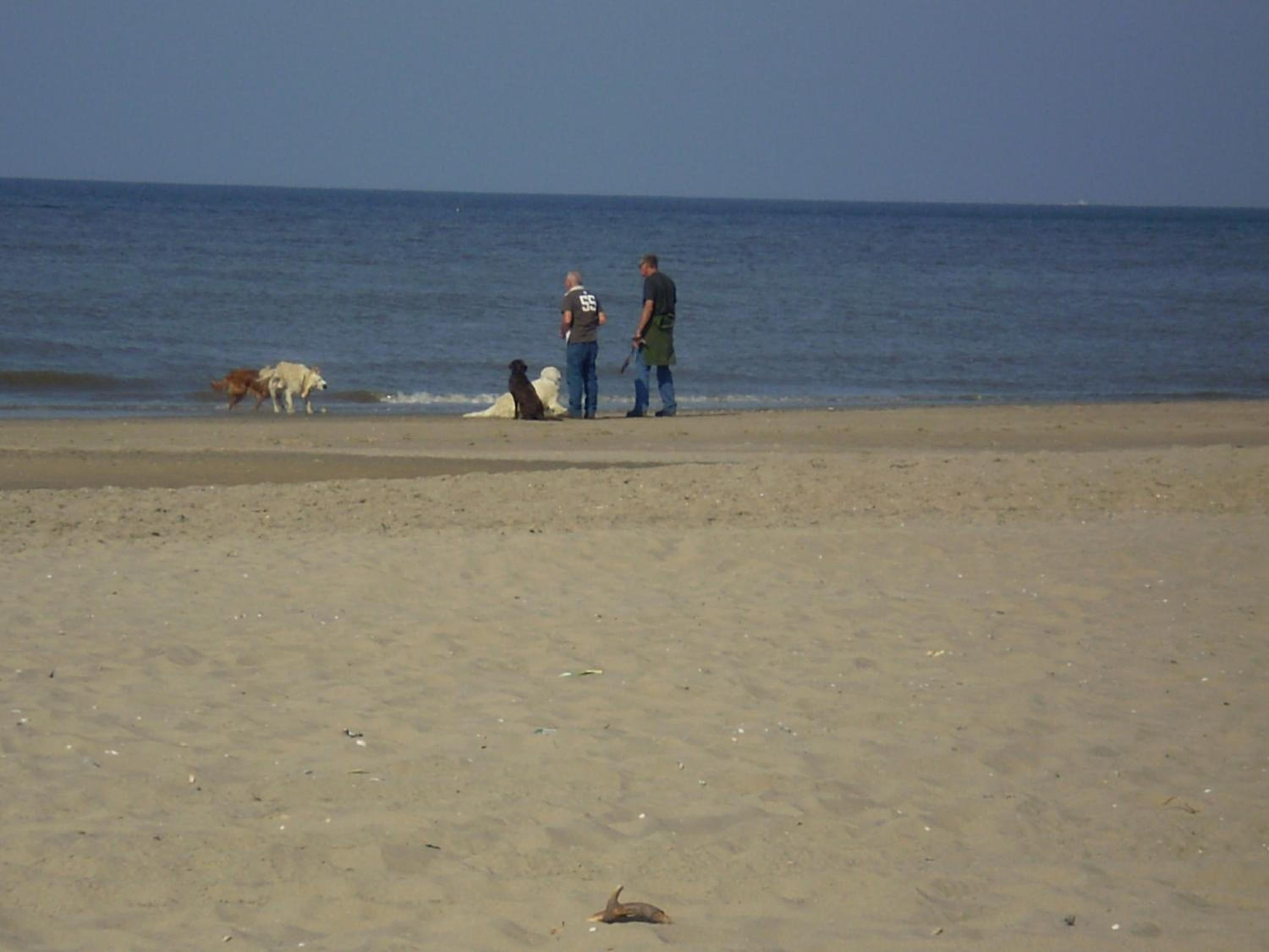 Photo 29