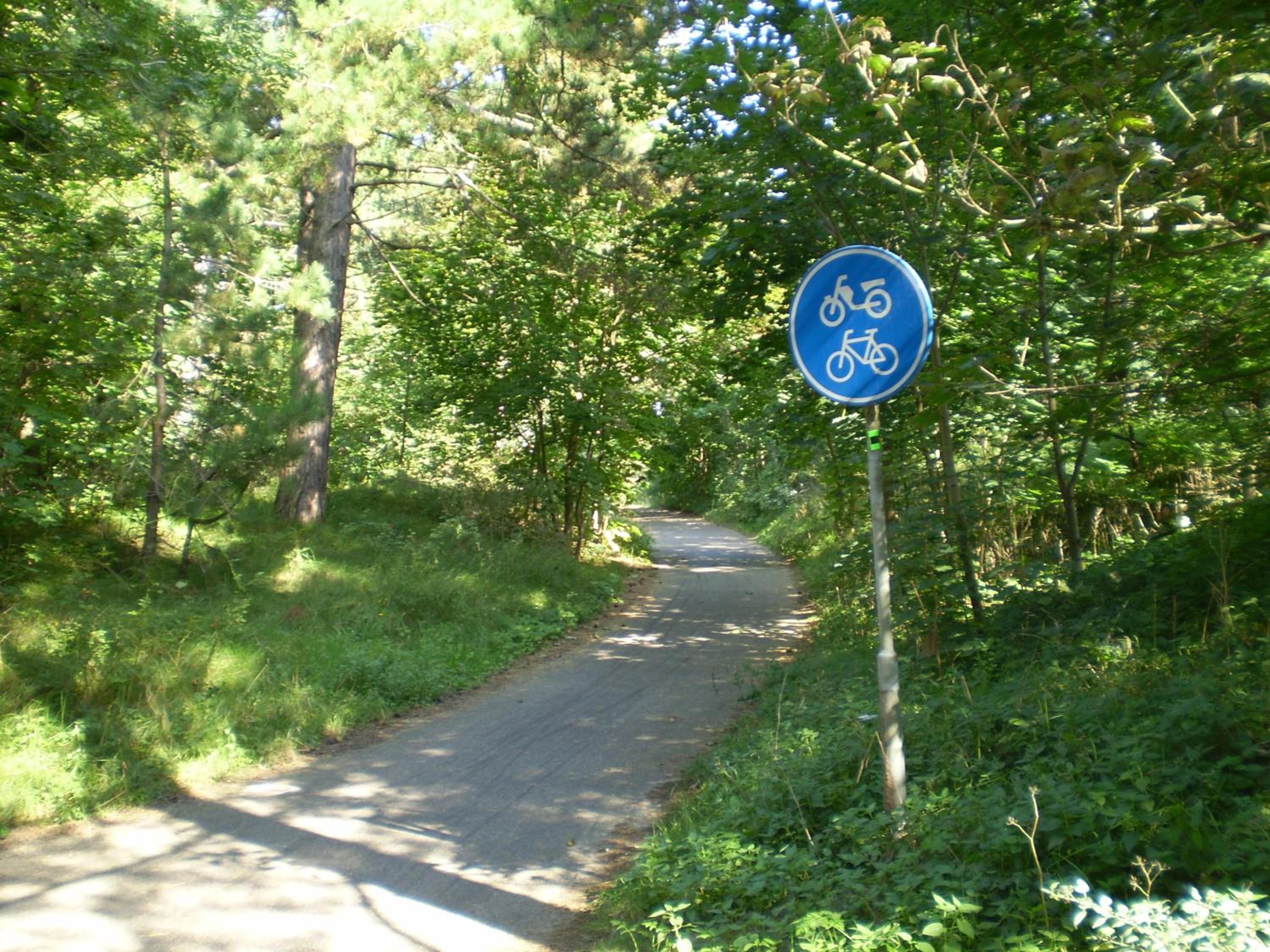 Photo 30