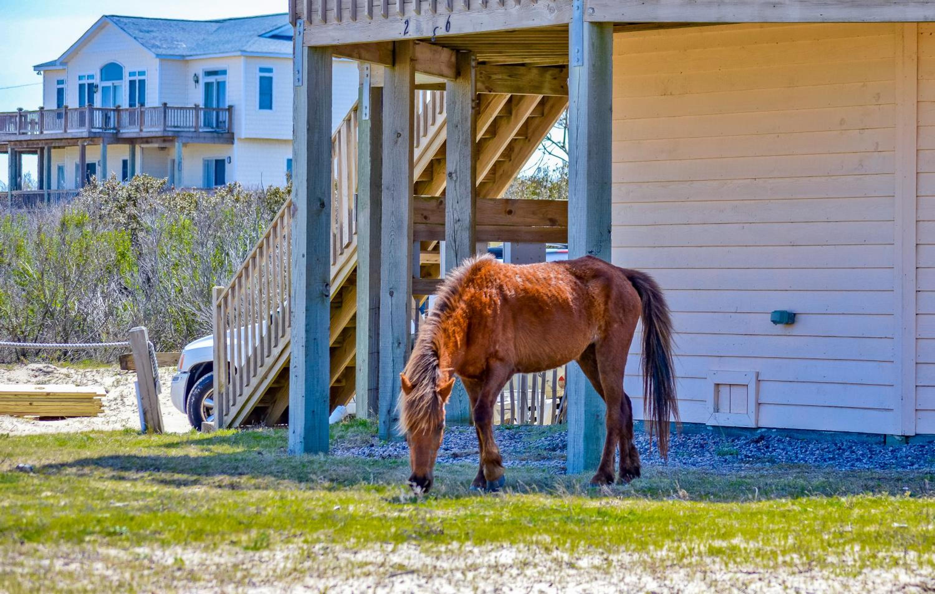 Almost Paradise C9036 - 4x4 Area, Wild Horses, Pool, Great Ocean Views!