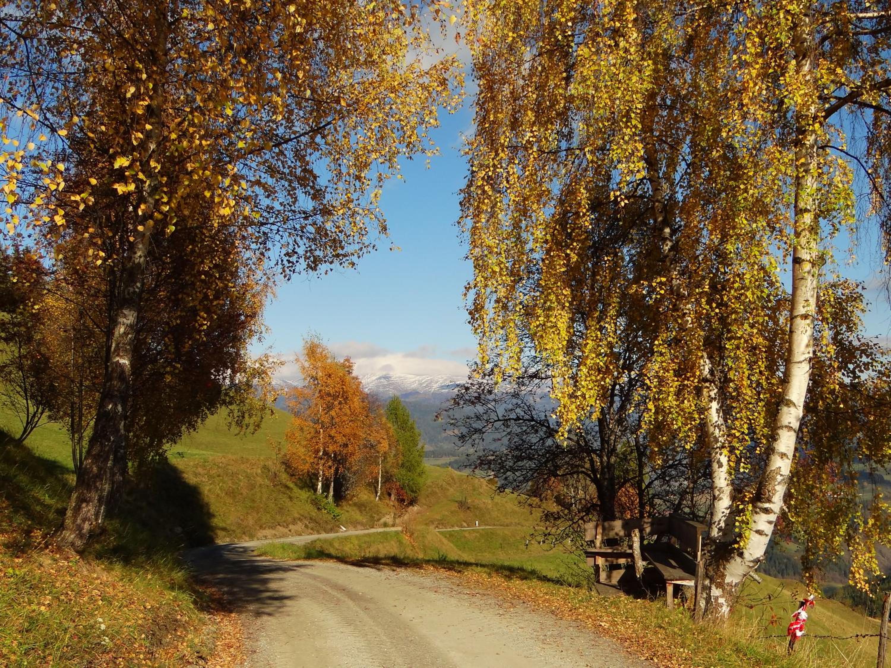 Ferienhaus-Römerthurm
