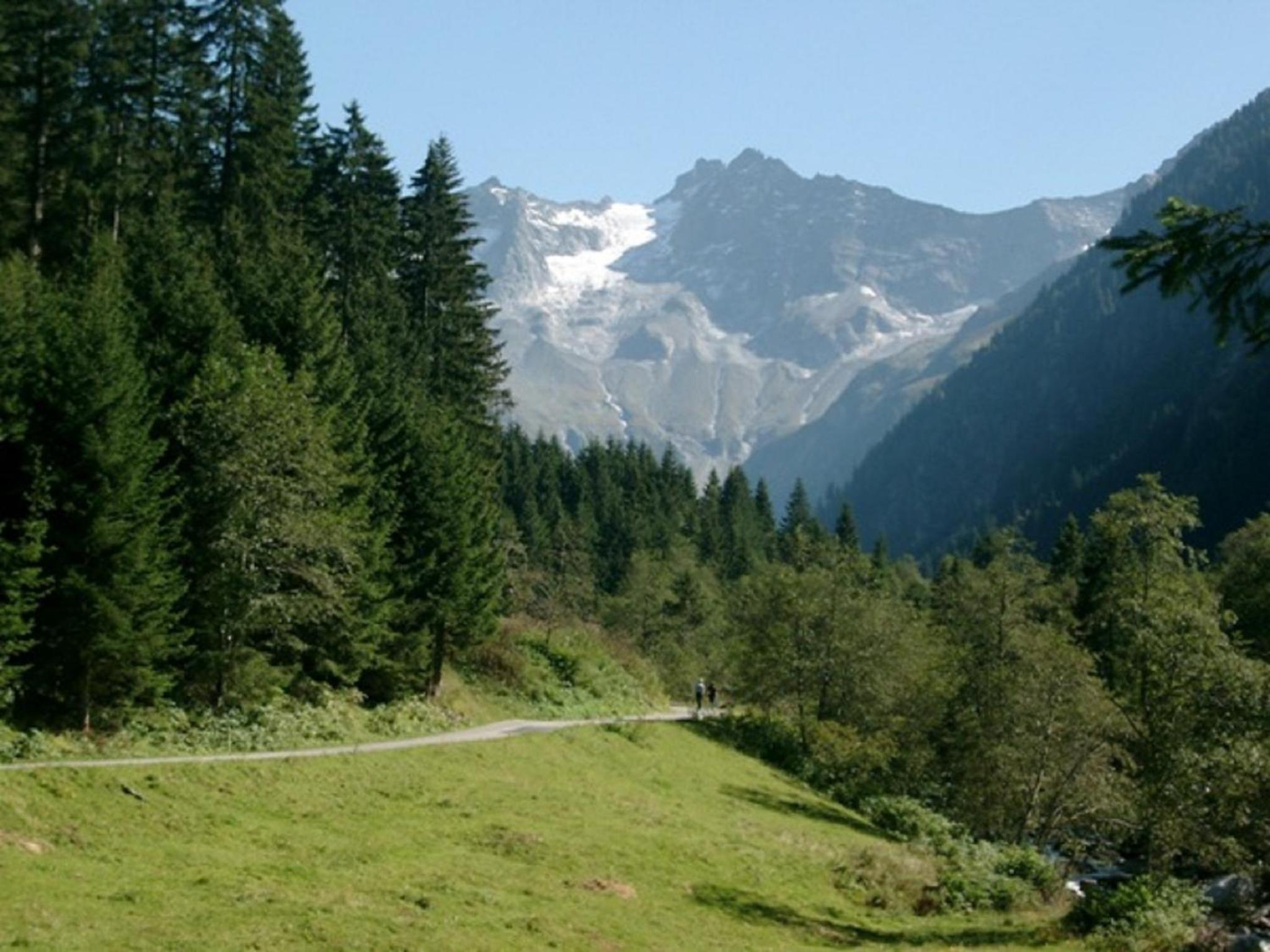 Chalet Helene