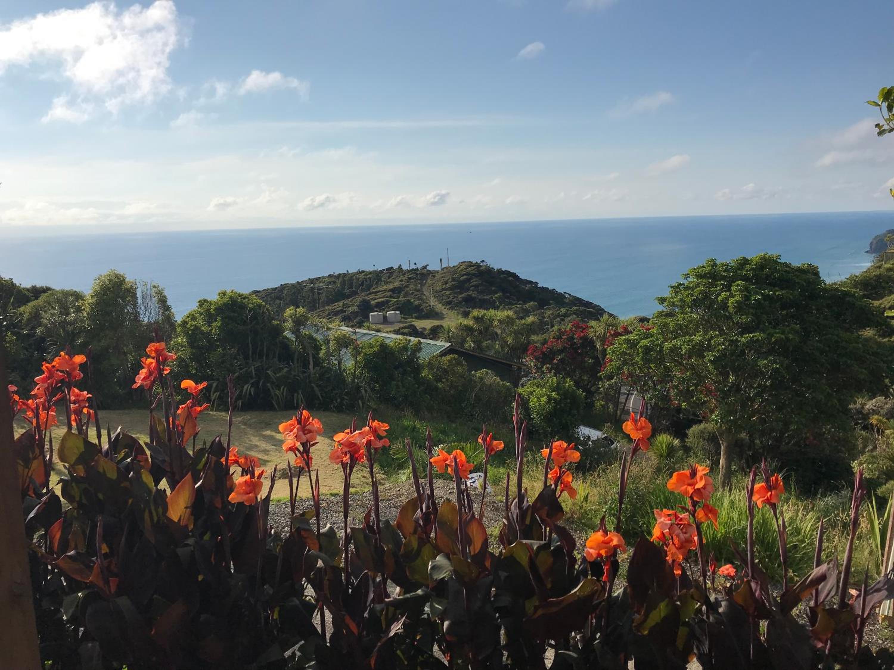 Piha Tiny House view 2