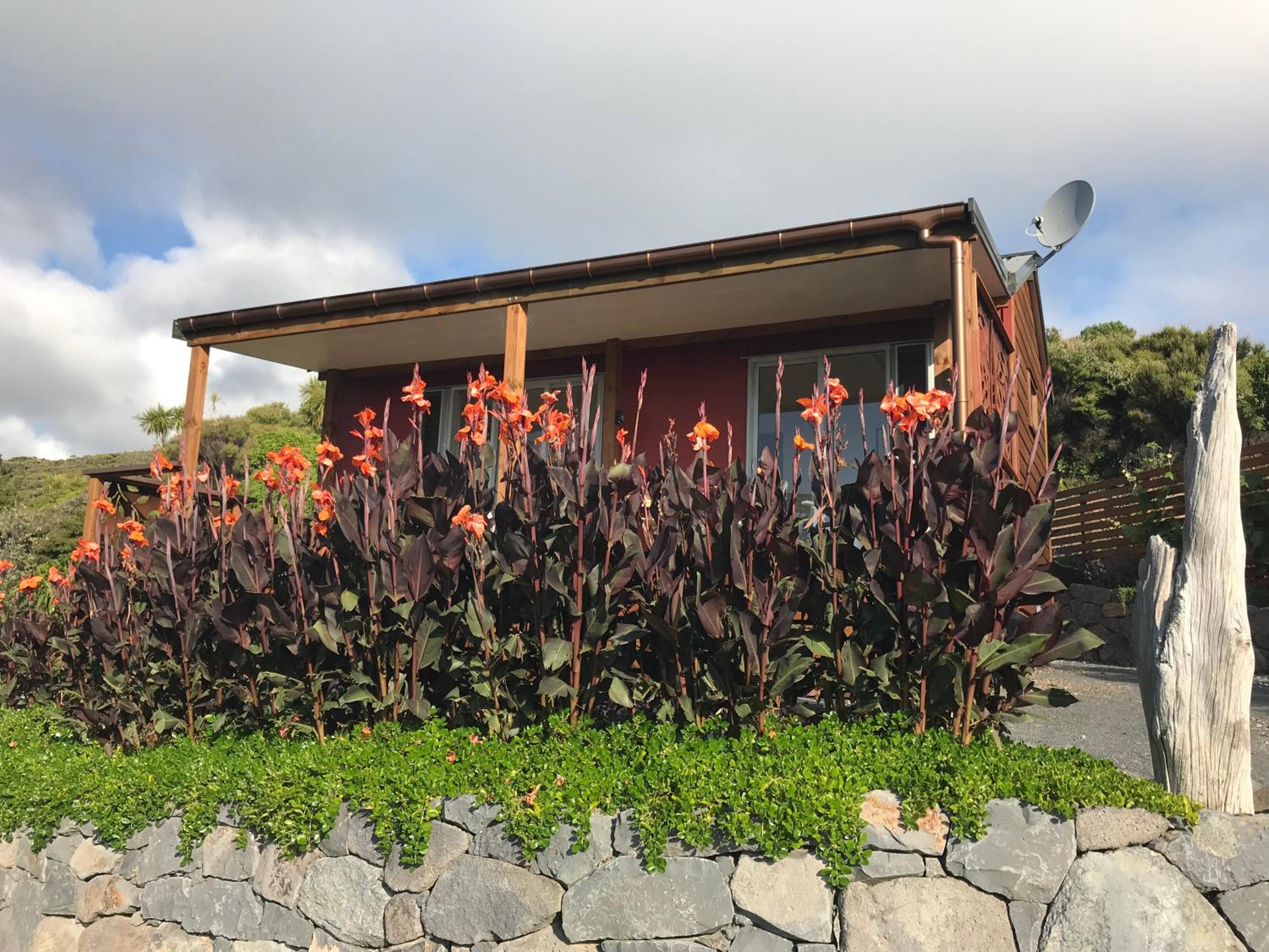 Piha Tiny House view 5