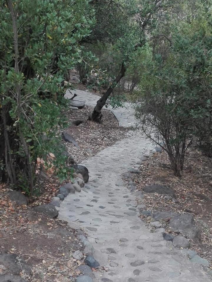 Photo 48