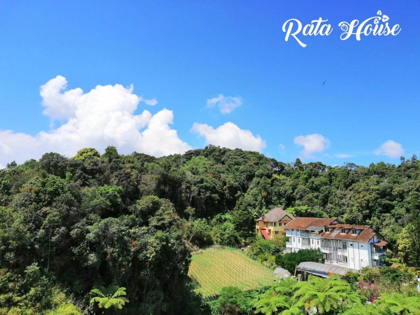 Rata House photo 7