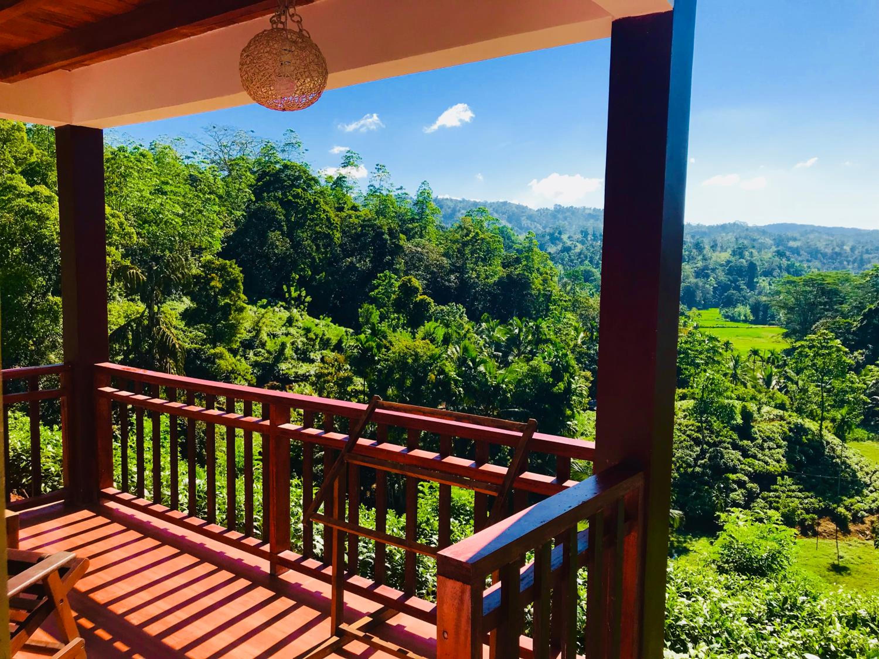 Rainforest Mount Lodge