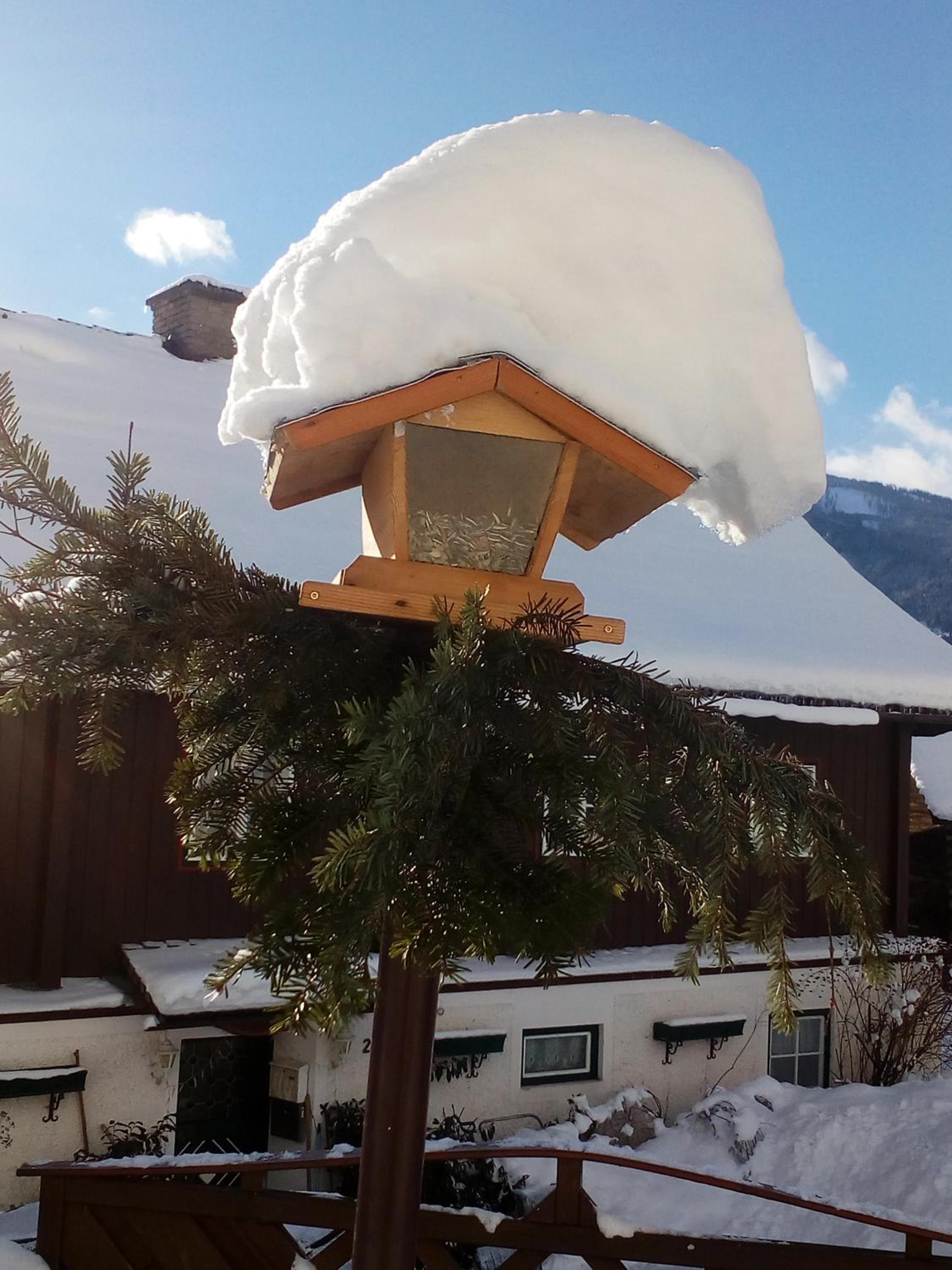 Appartment Stroblhof