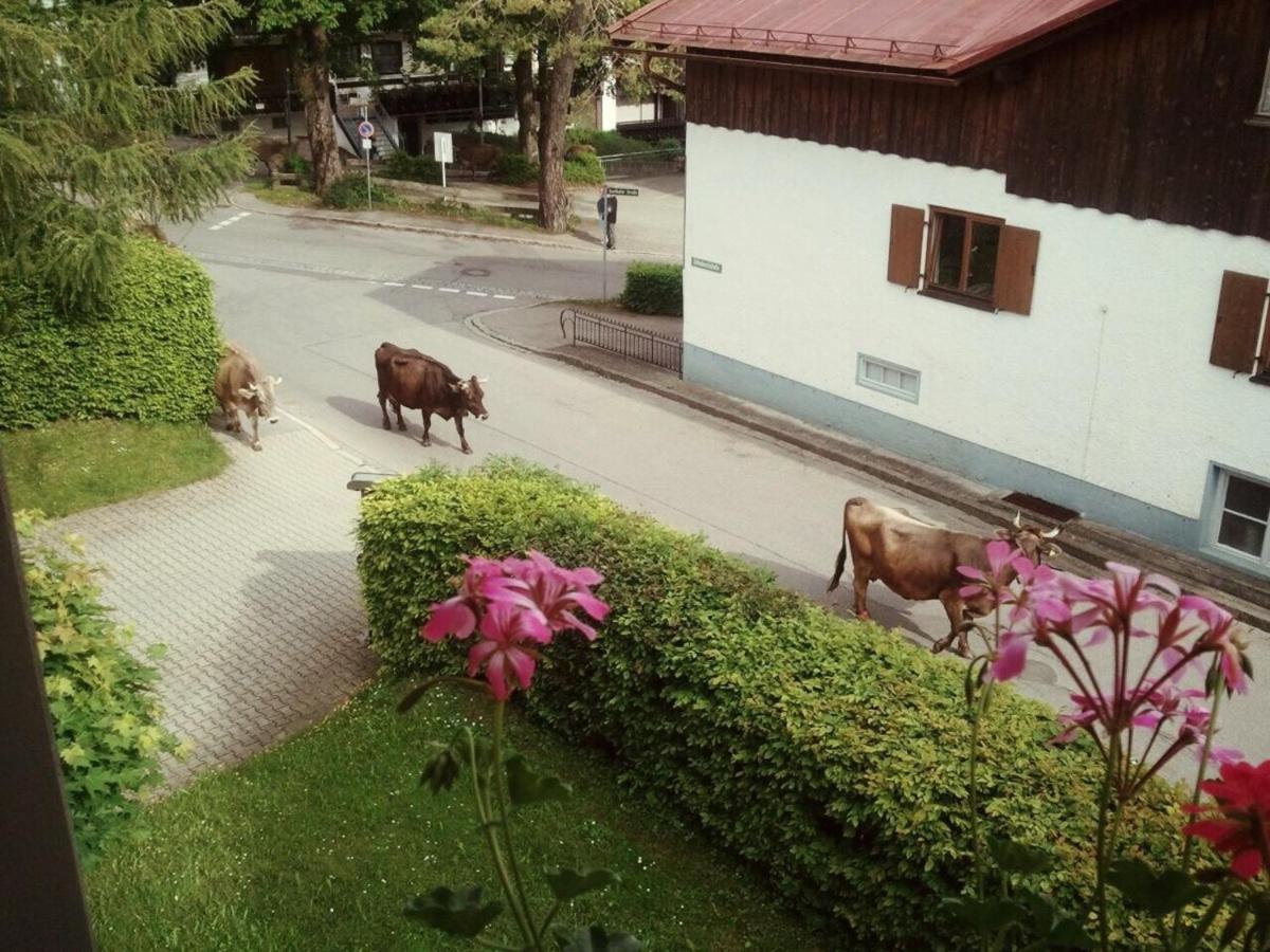 Ferienwohnung Bergblick - Allgäublick