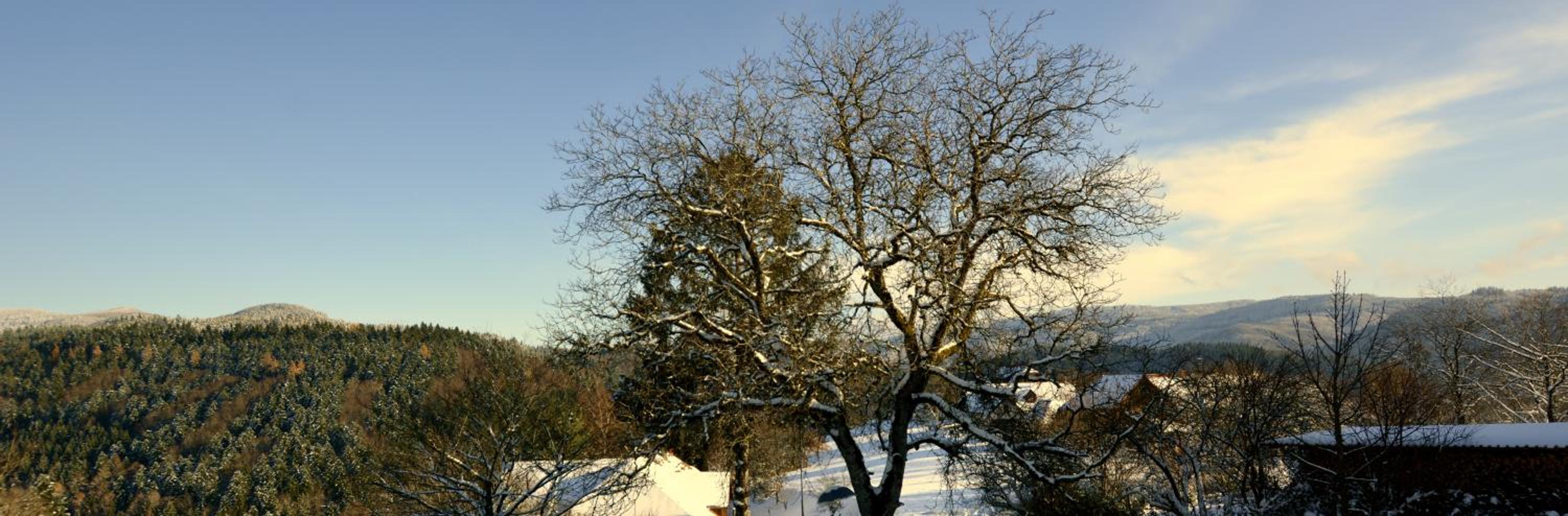 Ferien-Apartment im Genusshotel Hirschen (Südschwarzwald)