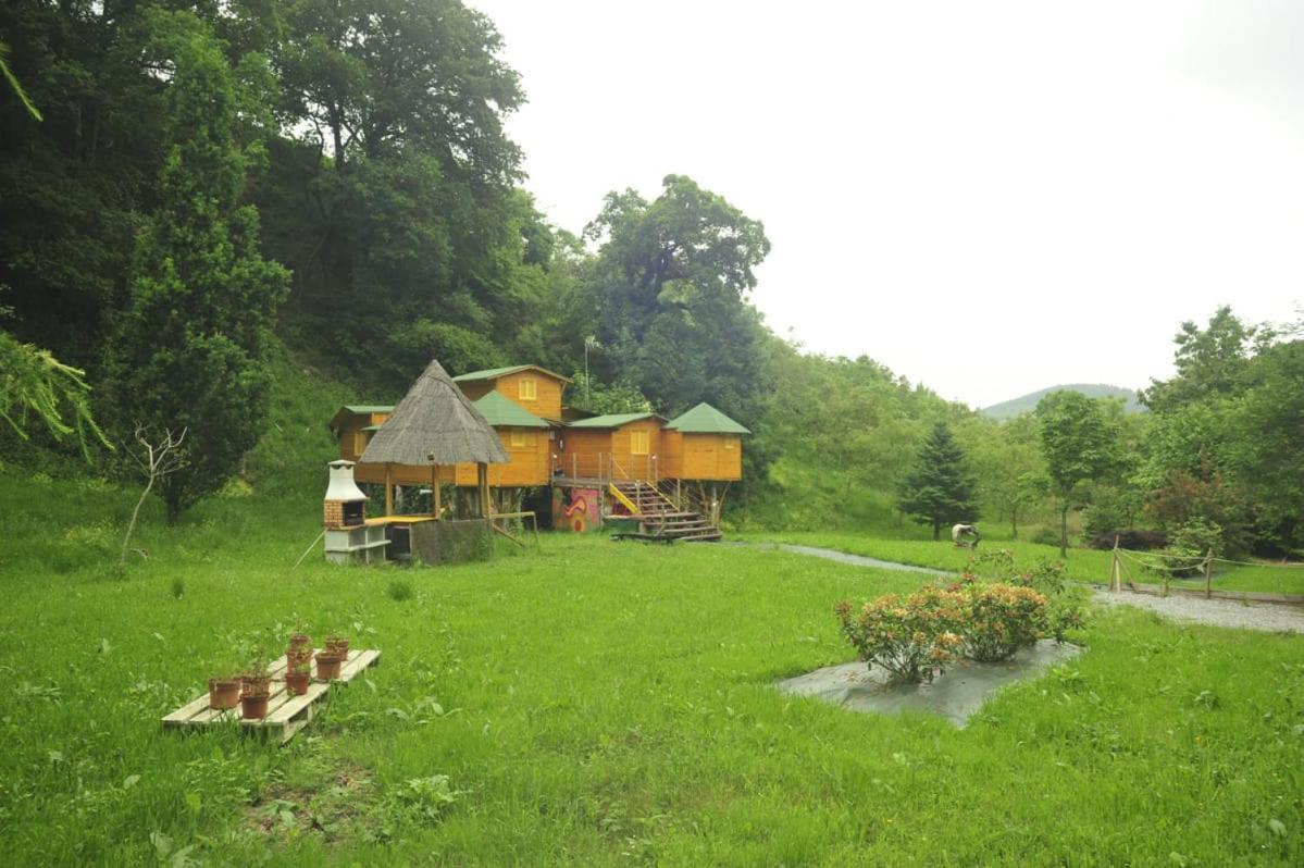 Photo 25