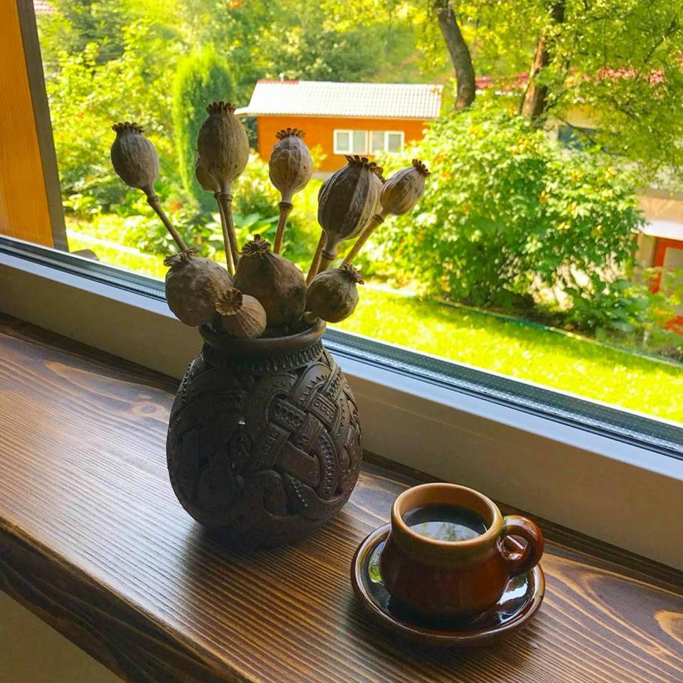 Country House Kosiv, photo 9