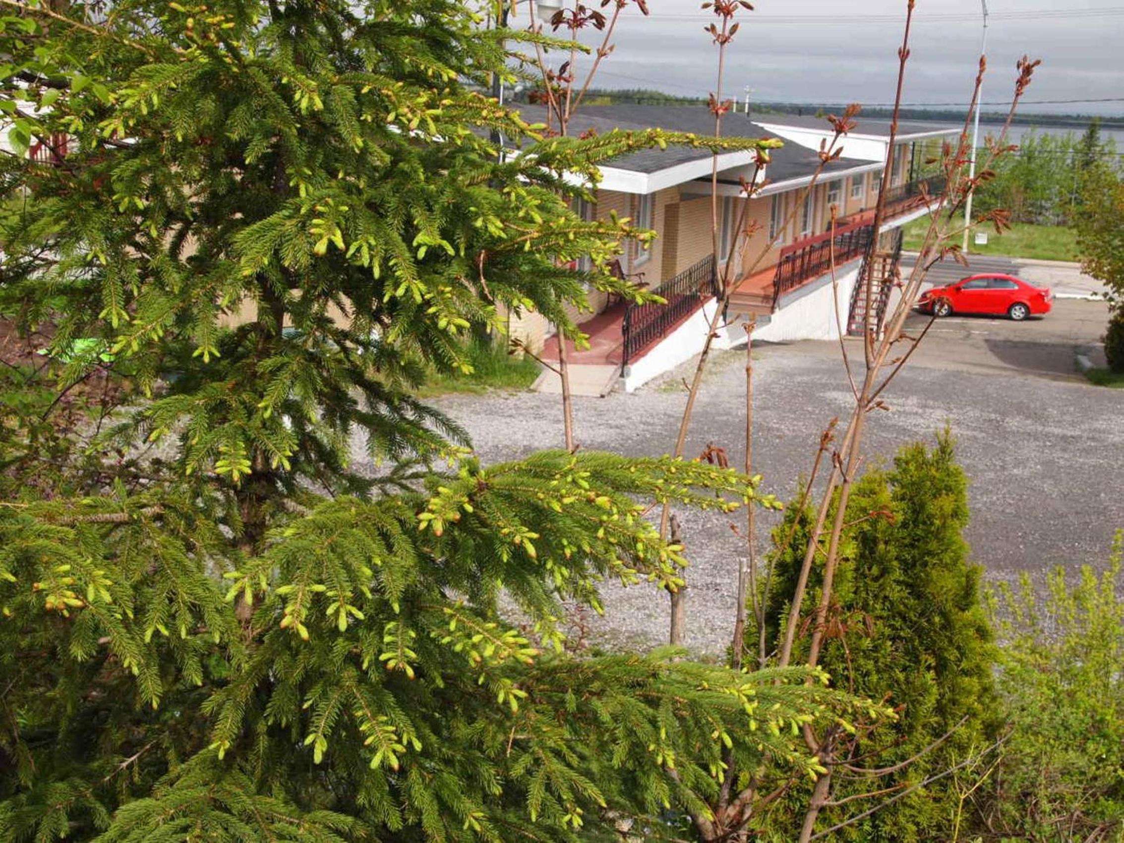 Motel Lyse - Image 4