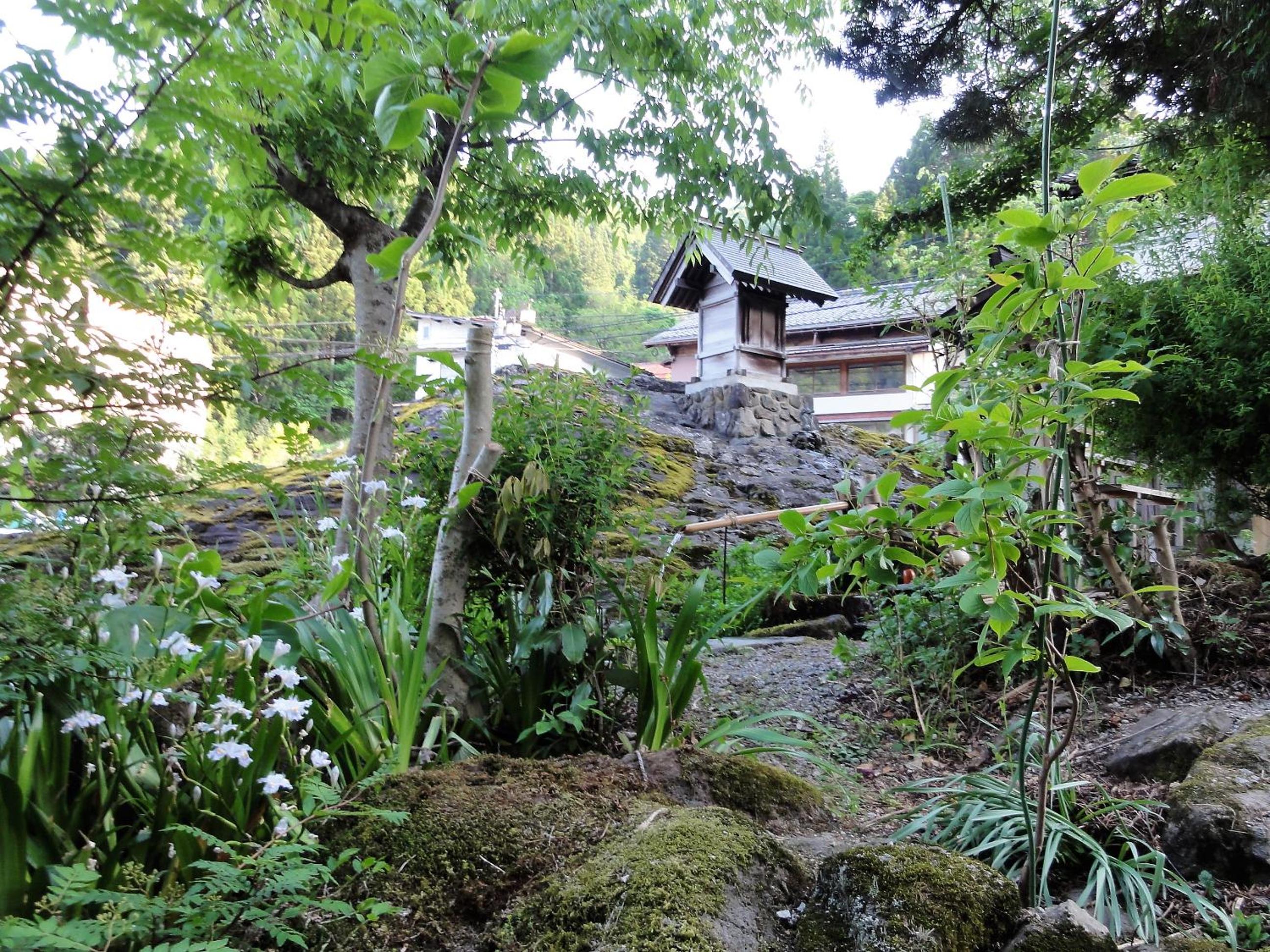 Photo 8