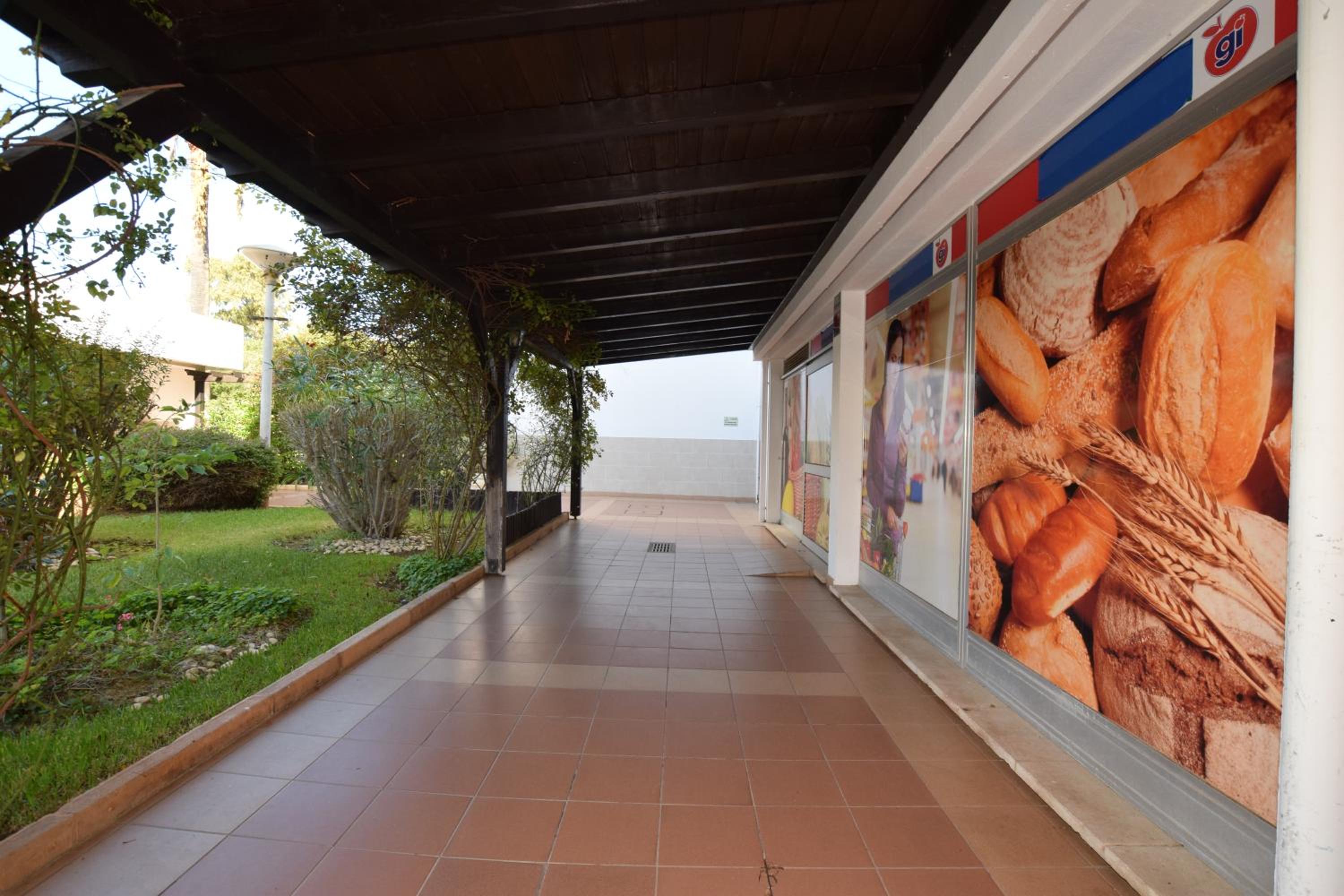 Casa Flor view 4