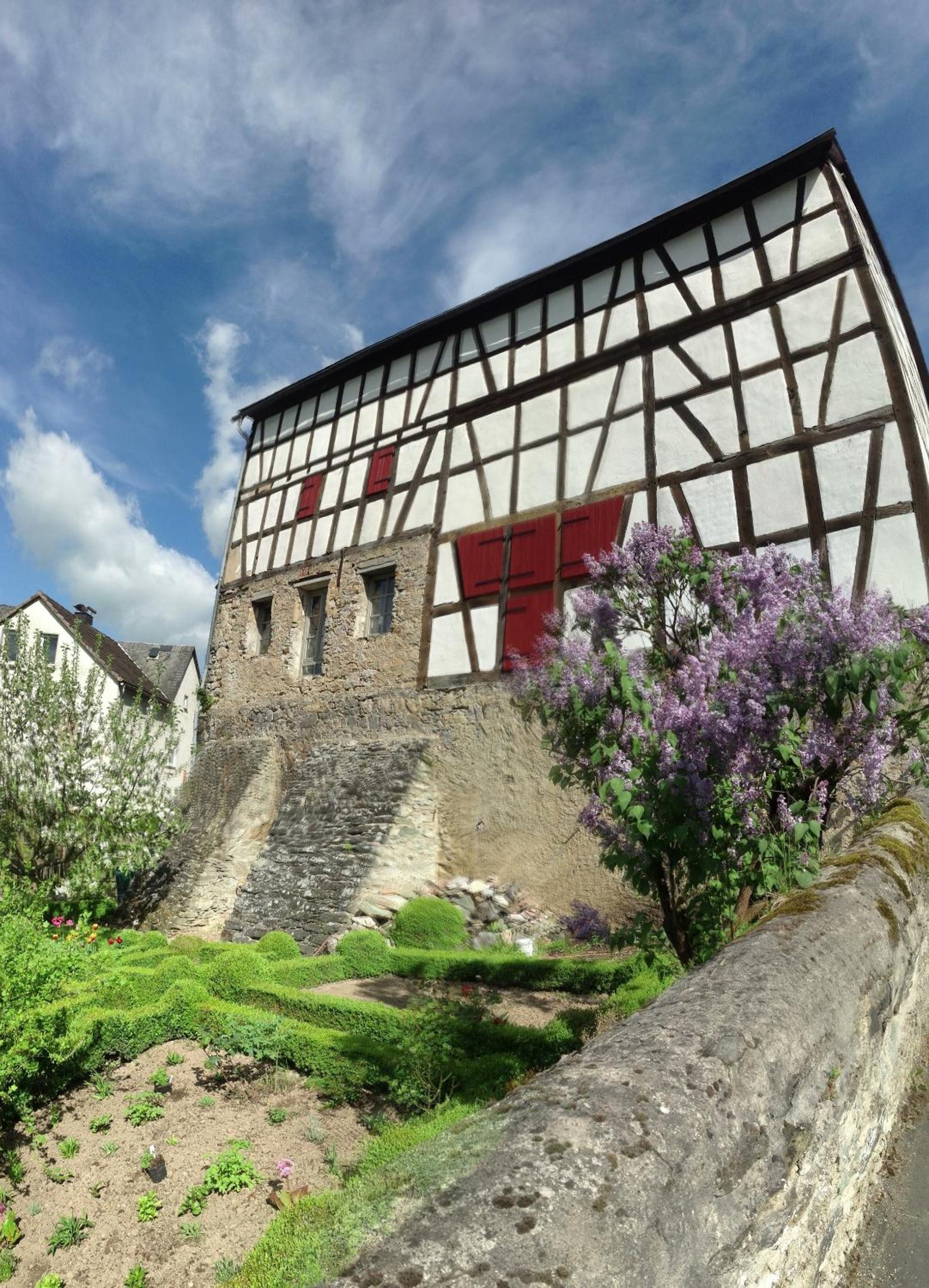 Gut Bunt Ferienhaus view 5