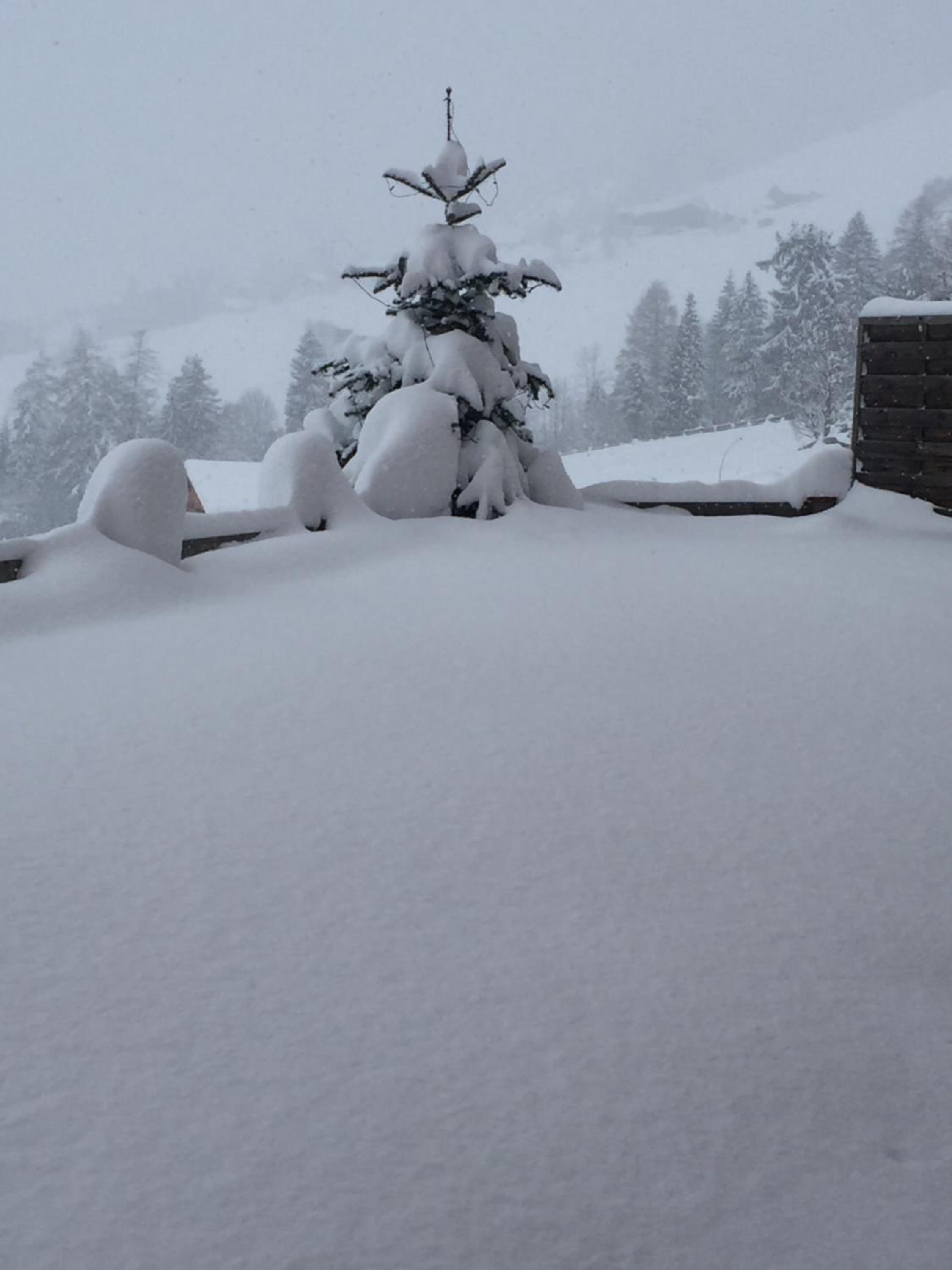 Tirol Juwel