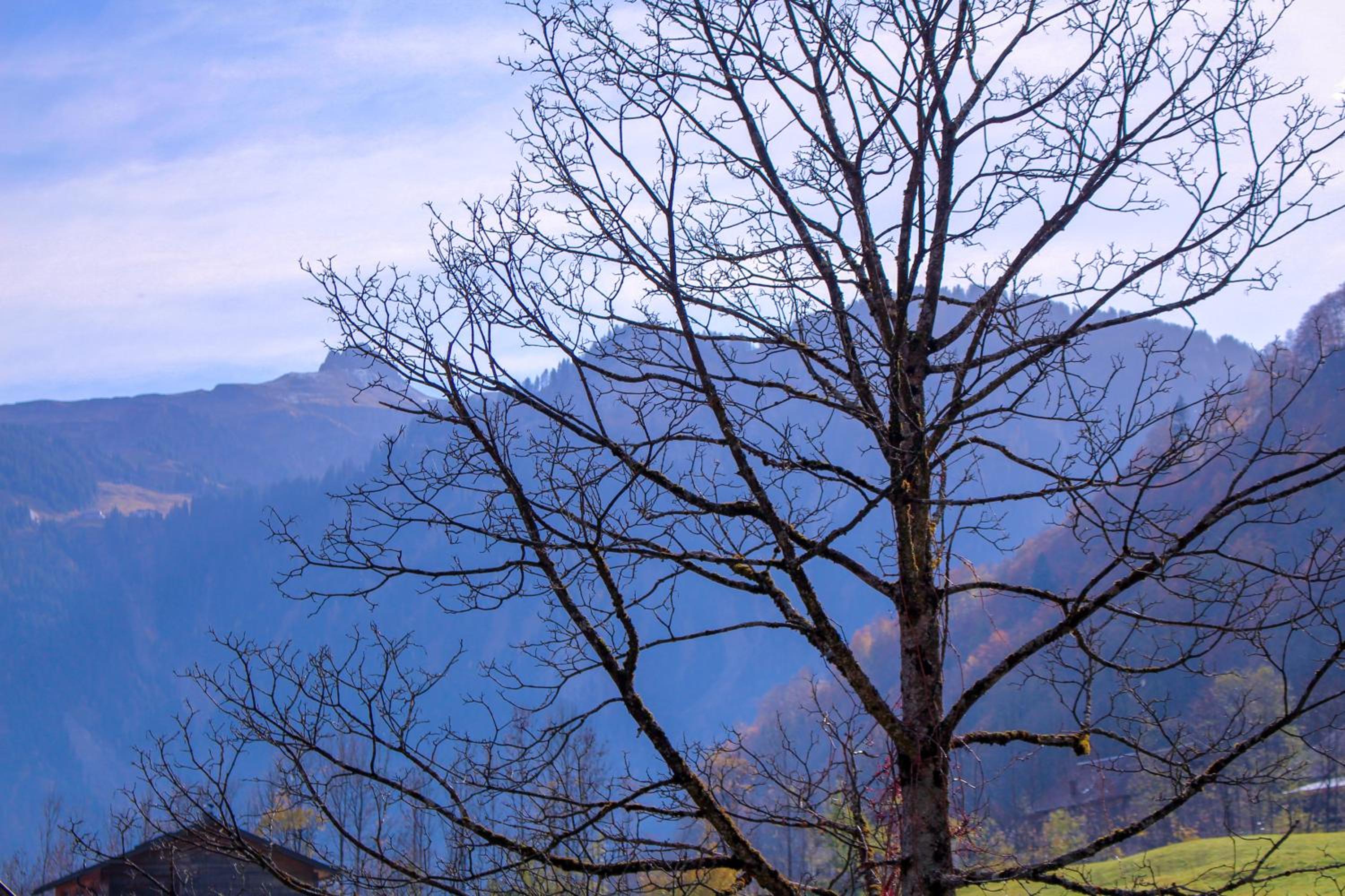 Haus am Wasserfall view 4