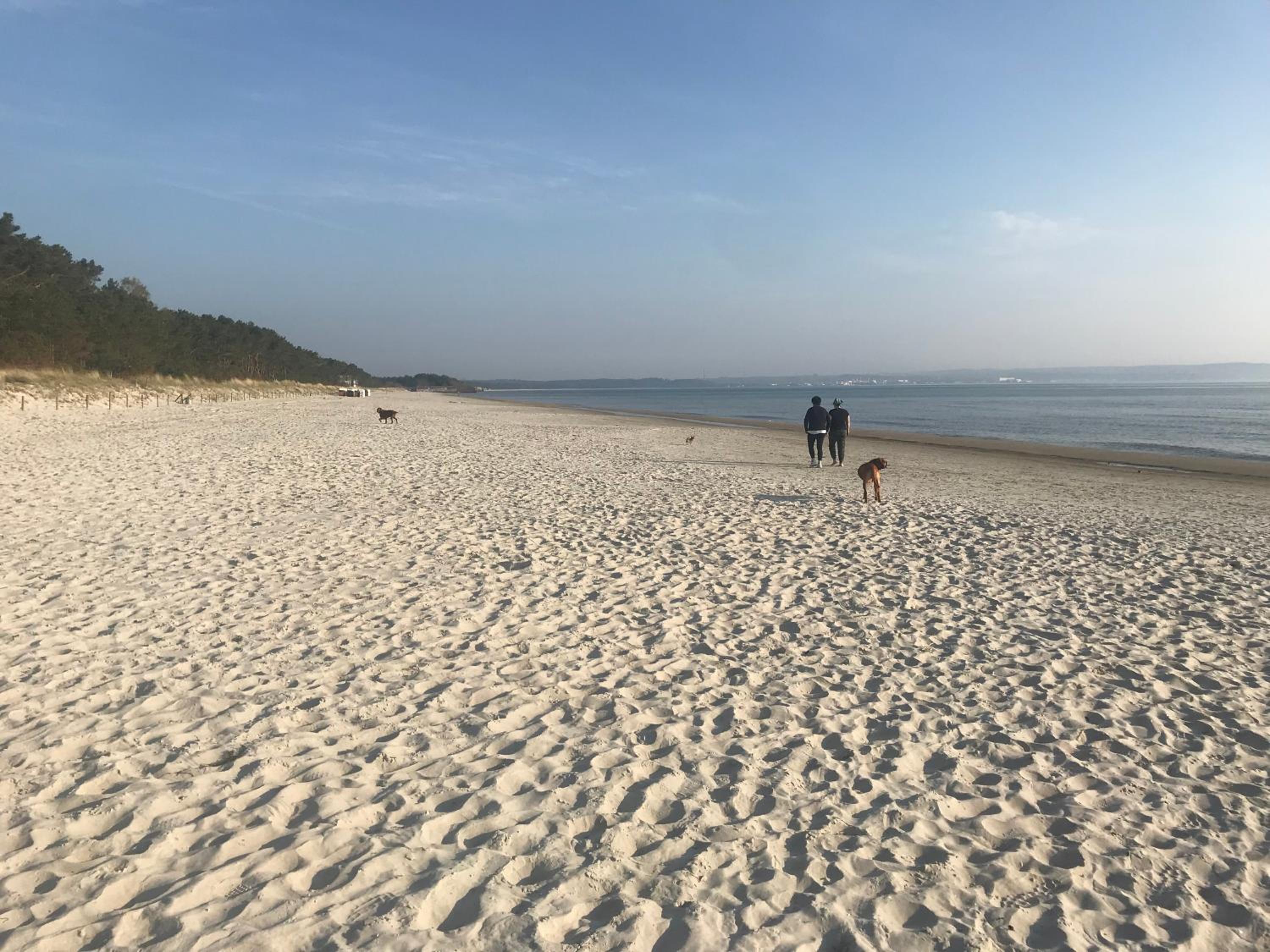 Strandapartment Meeresrauschen Prora Binz EG