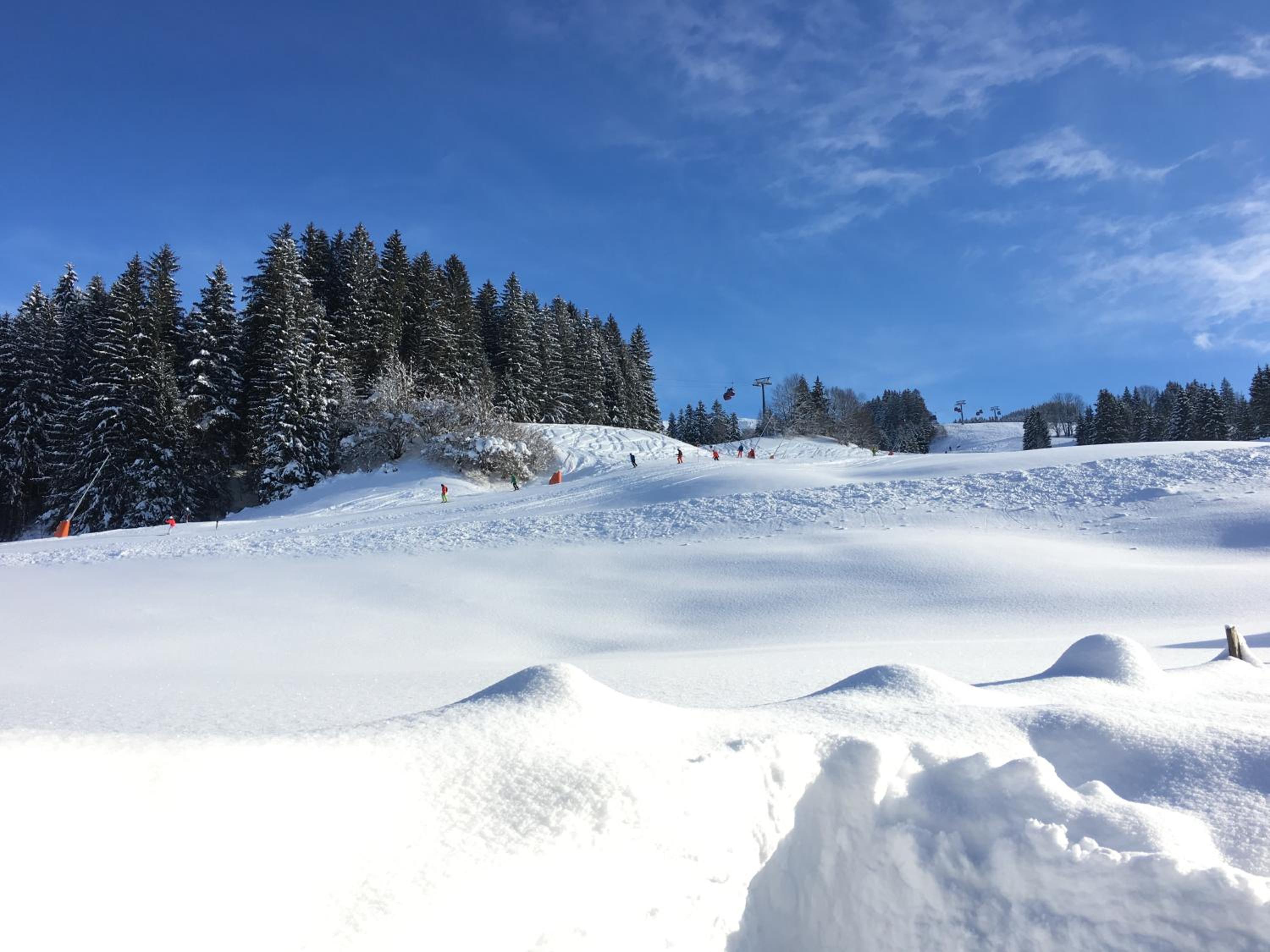Beim Rohrer
