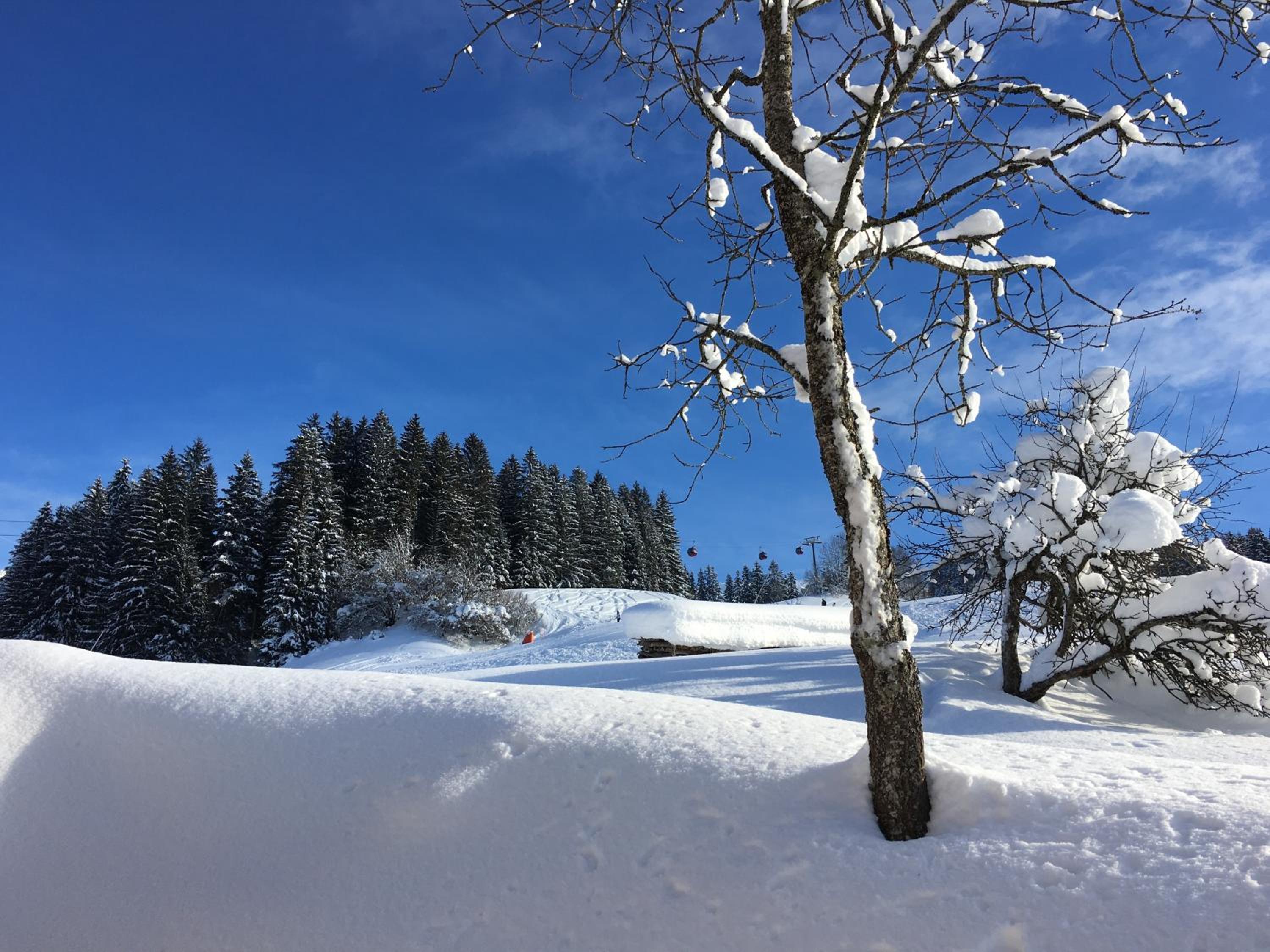 Beim Rohrer