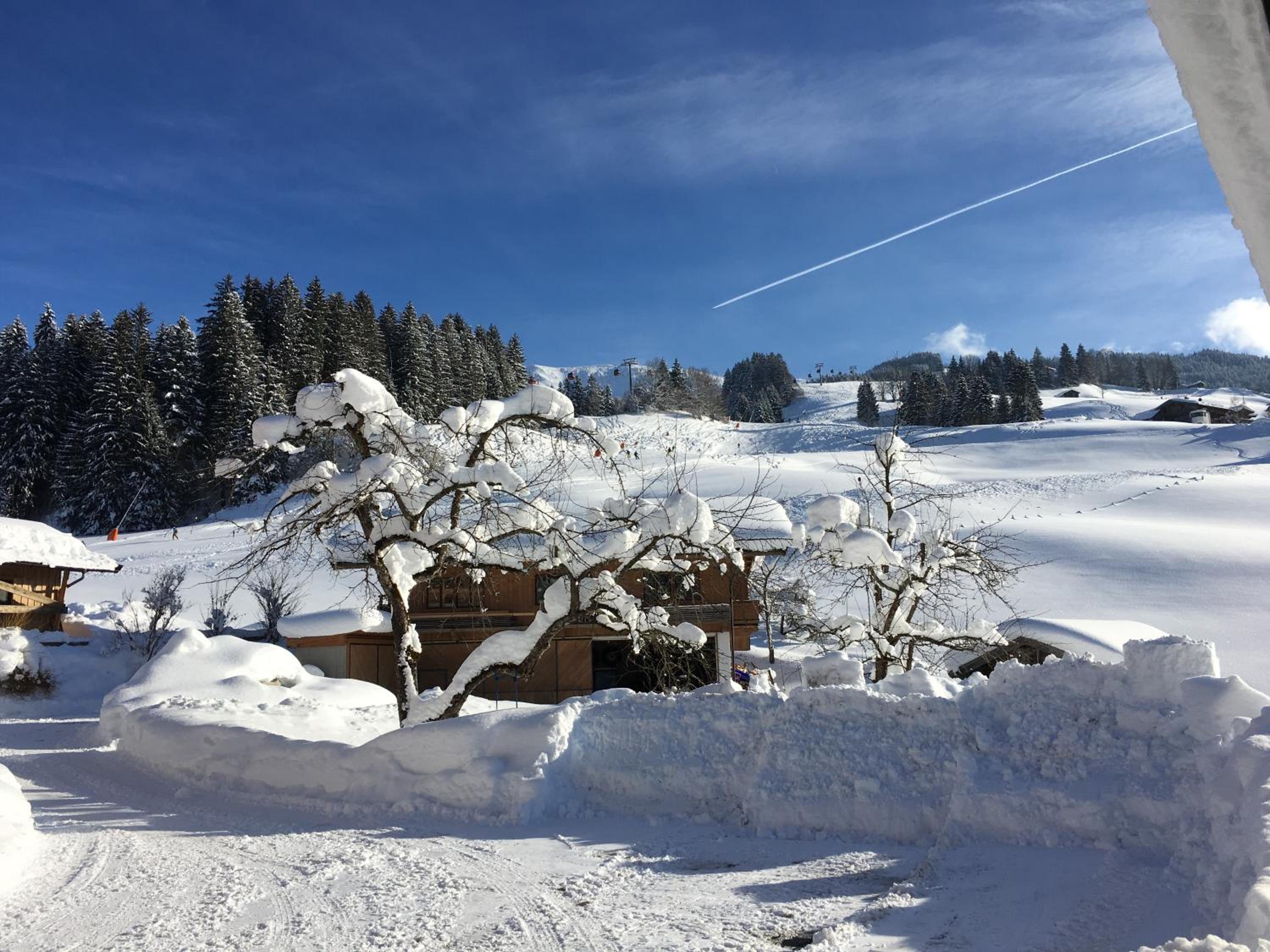 Beim Rohrer