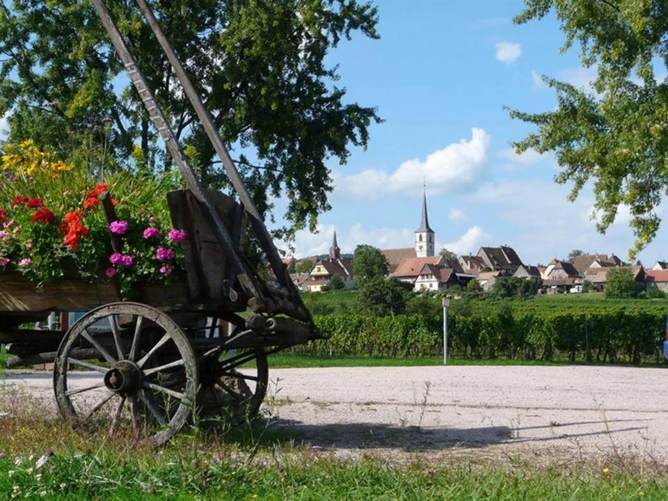Le Grenier Des Arômes Au Domaine Wittmann