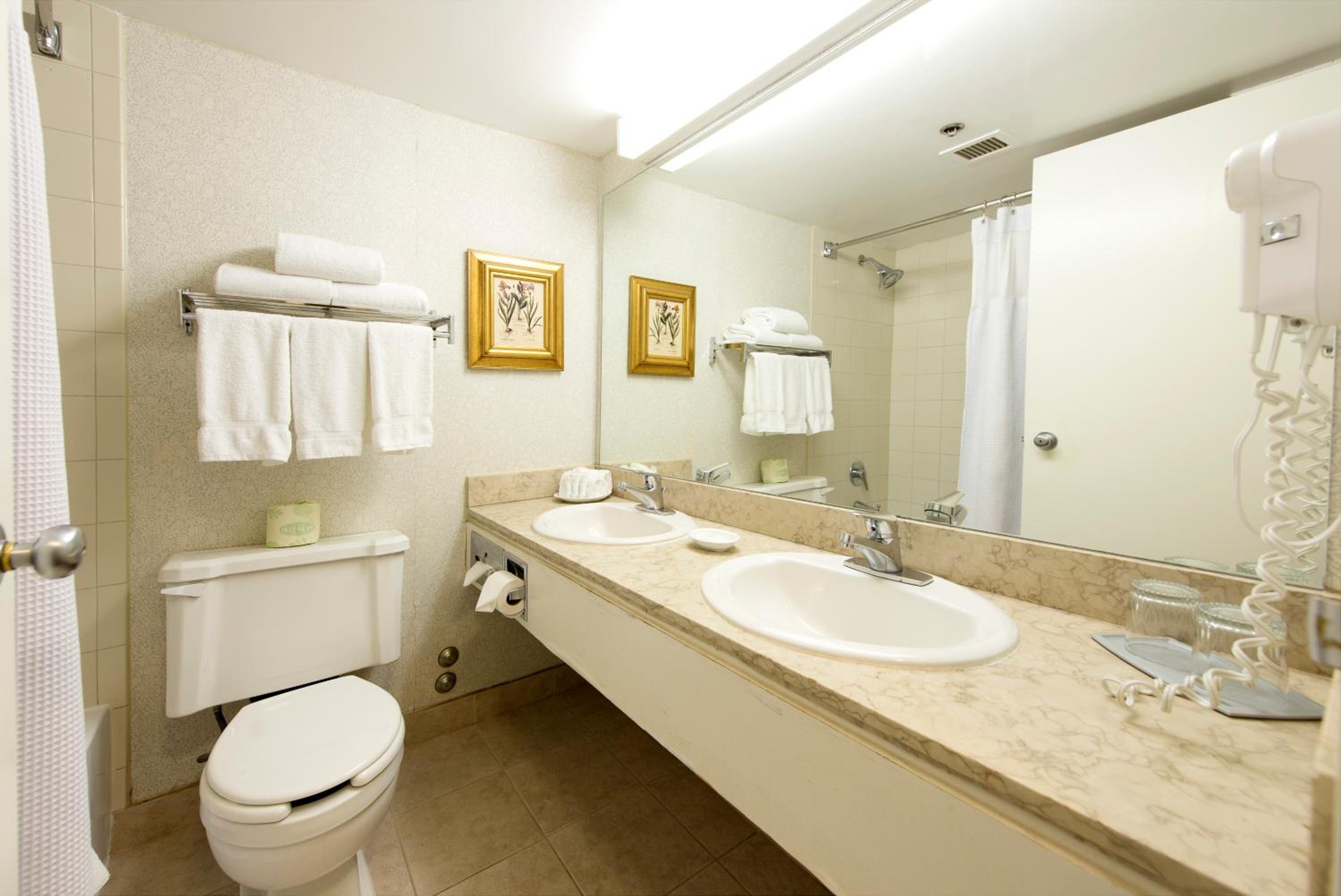 Toronto Don Valley Hotel and Suites-2