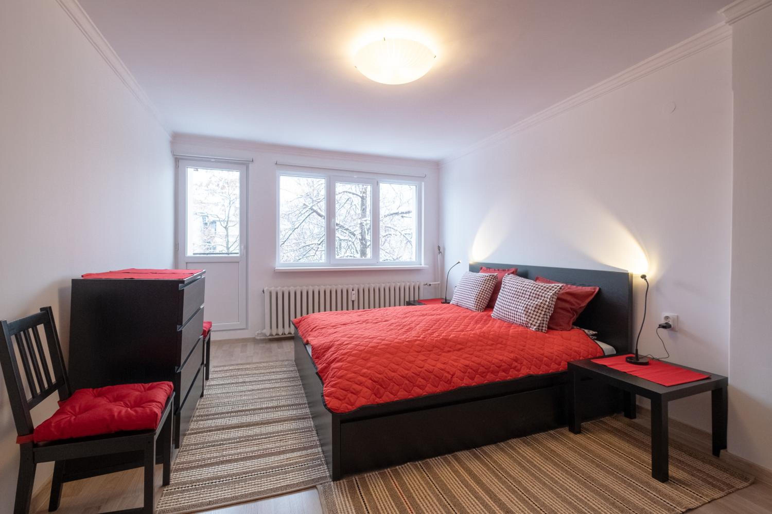 LZ Spacious One Bedroom Apartment in Top Centre view 4