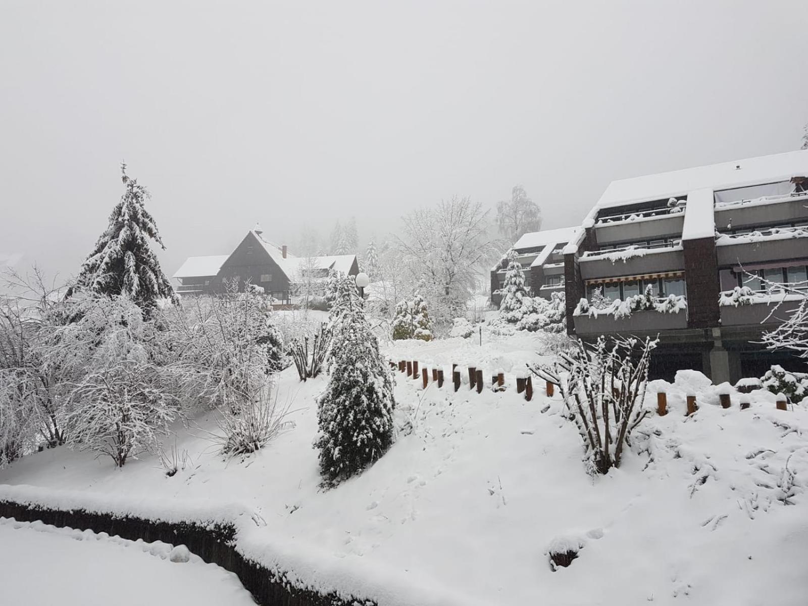 Ferienwohnung im Terrassenpark Sasbachwalden
