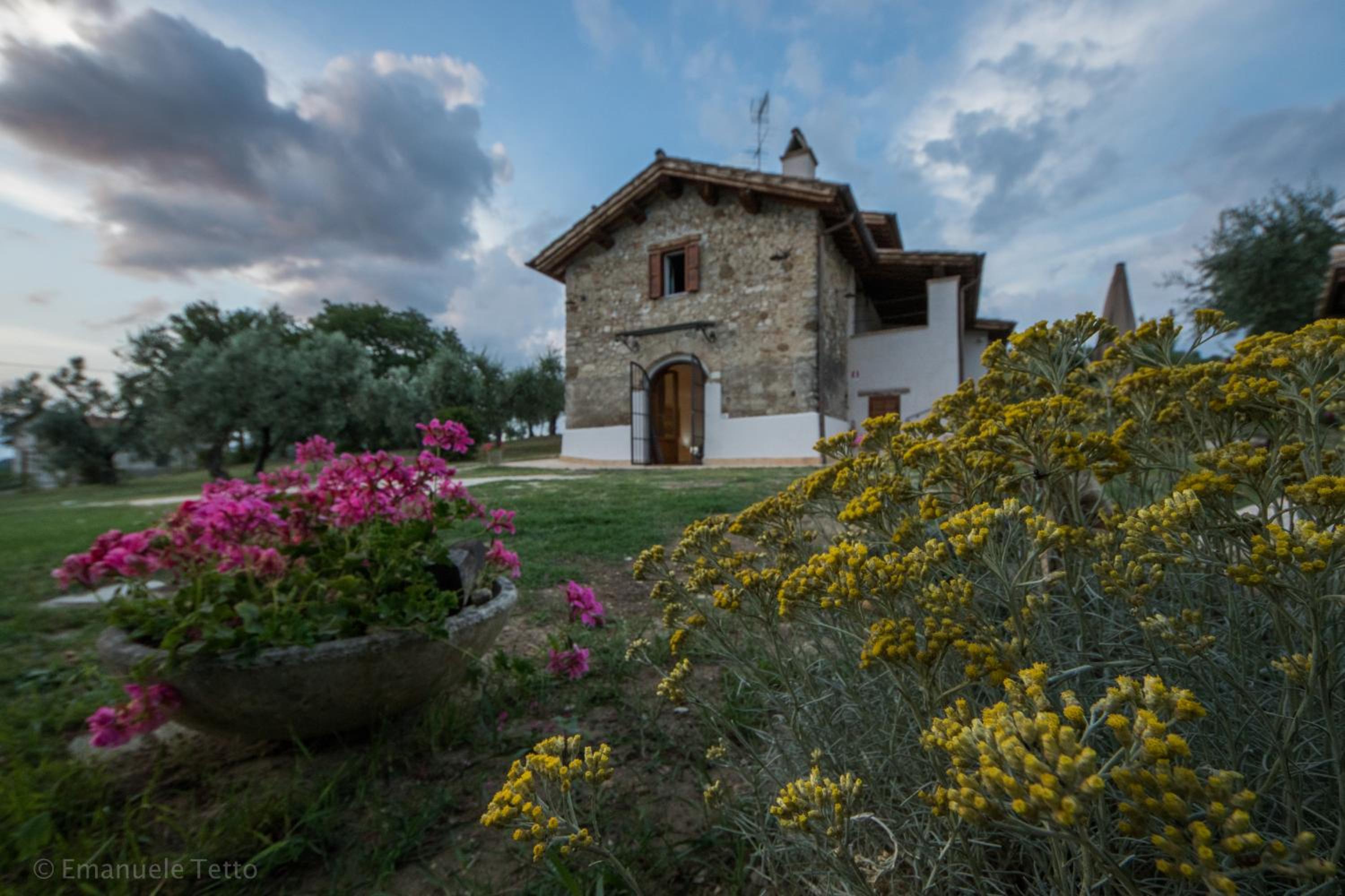 La Collina Degli Ulivi view 5