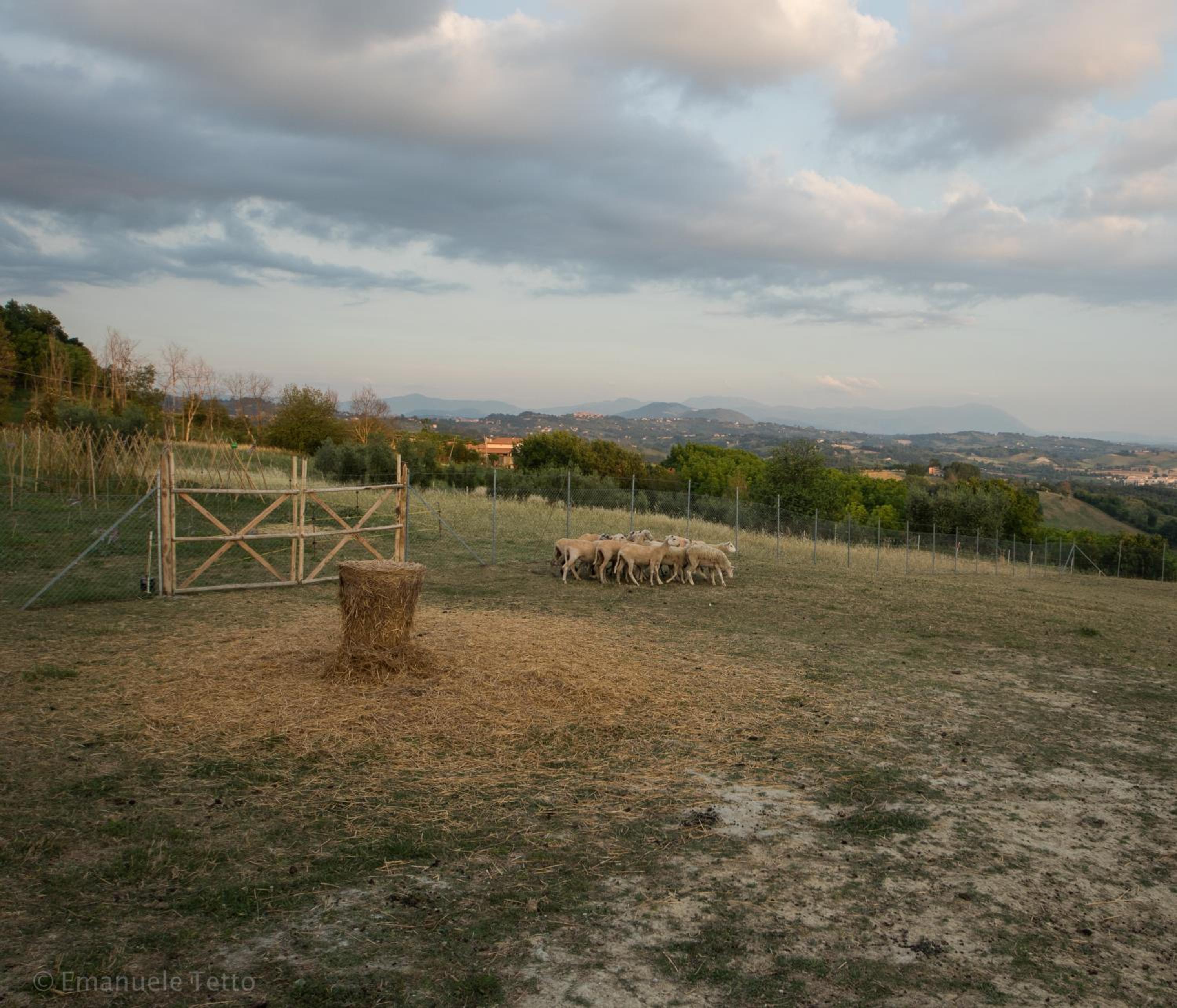 Photo 21