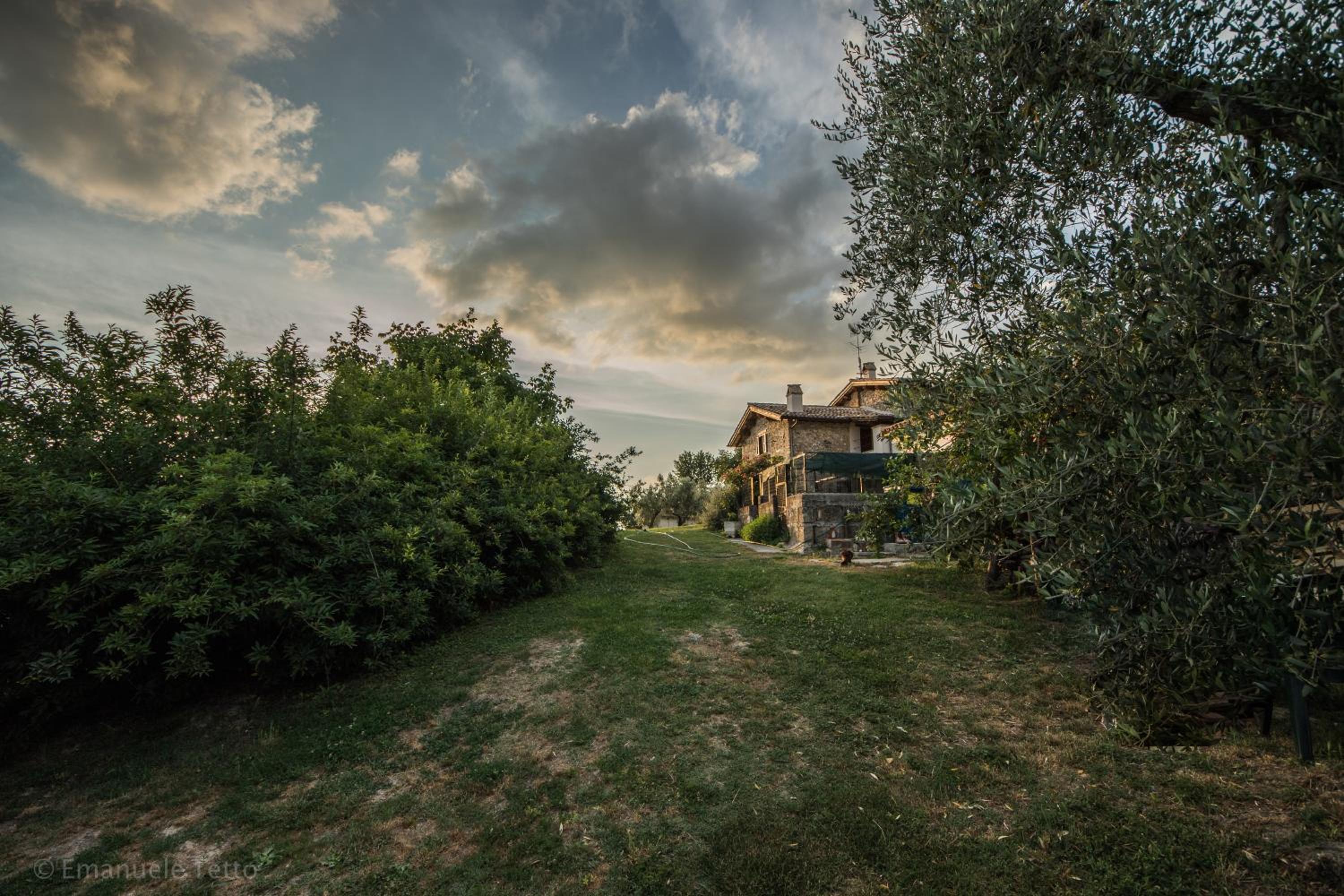 Photo 47