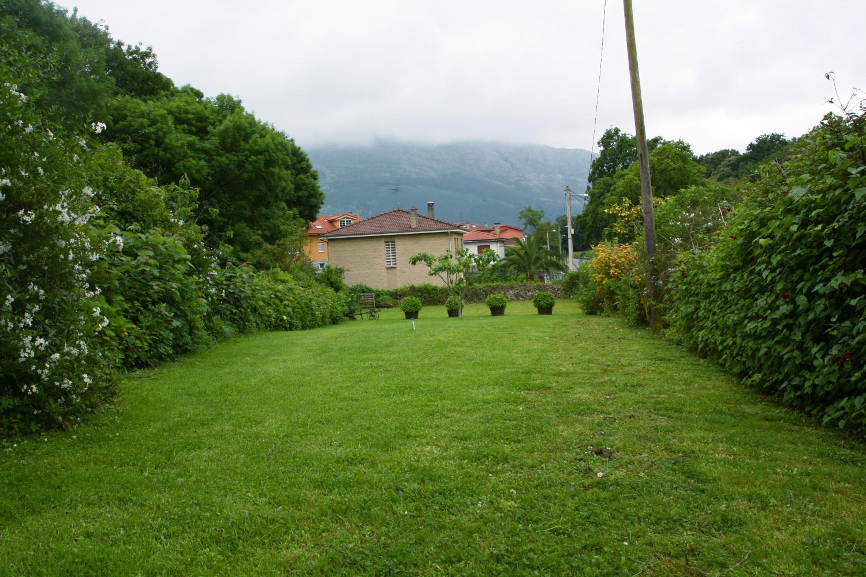 Photo 51