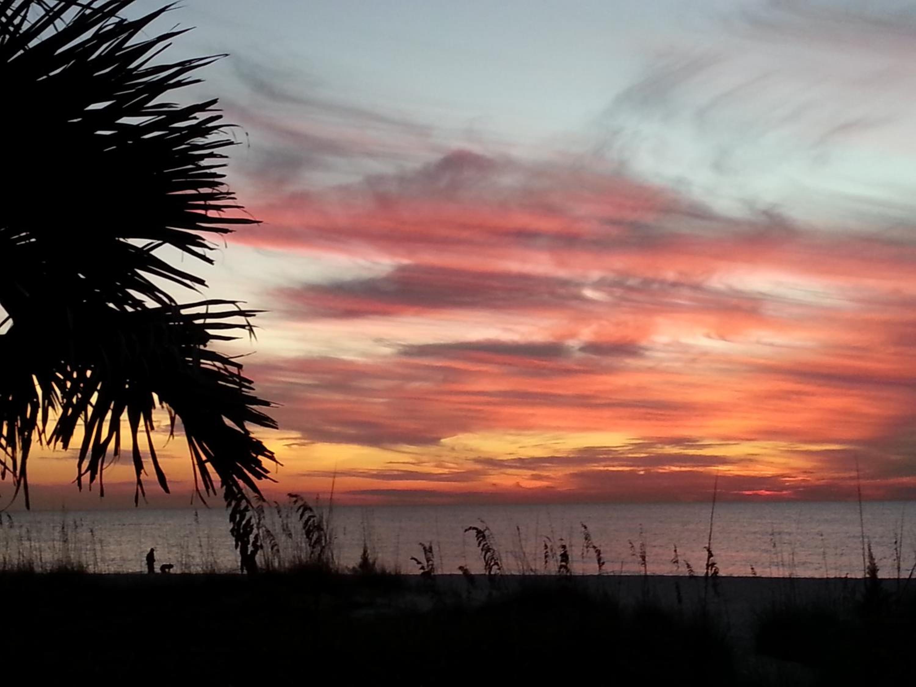 Escape Coastal Resort on Casey Key