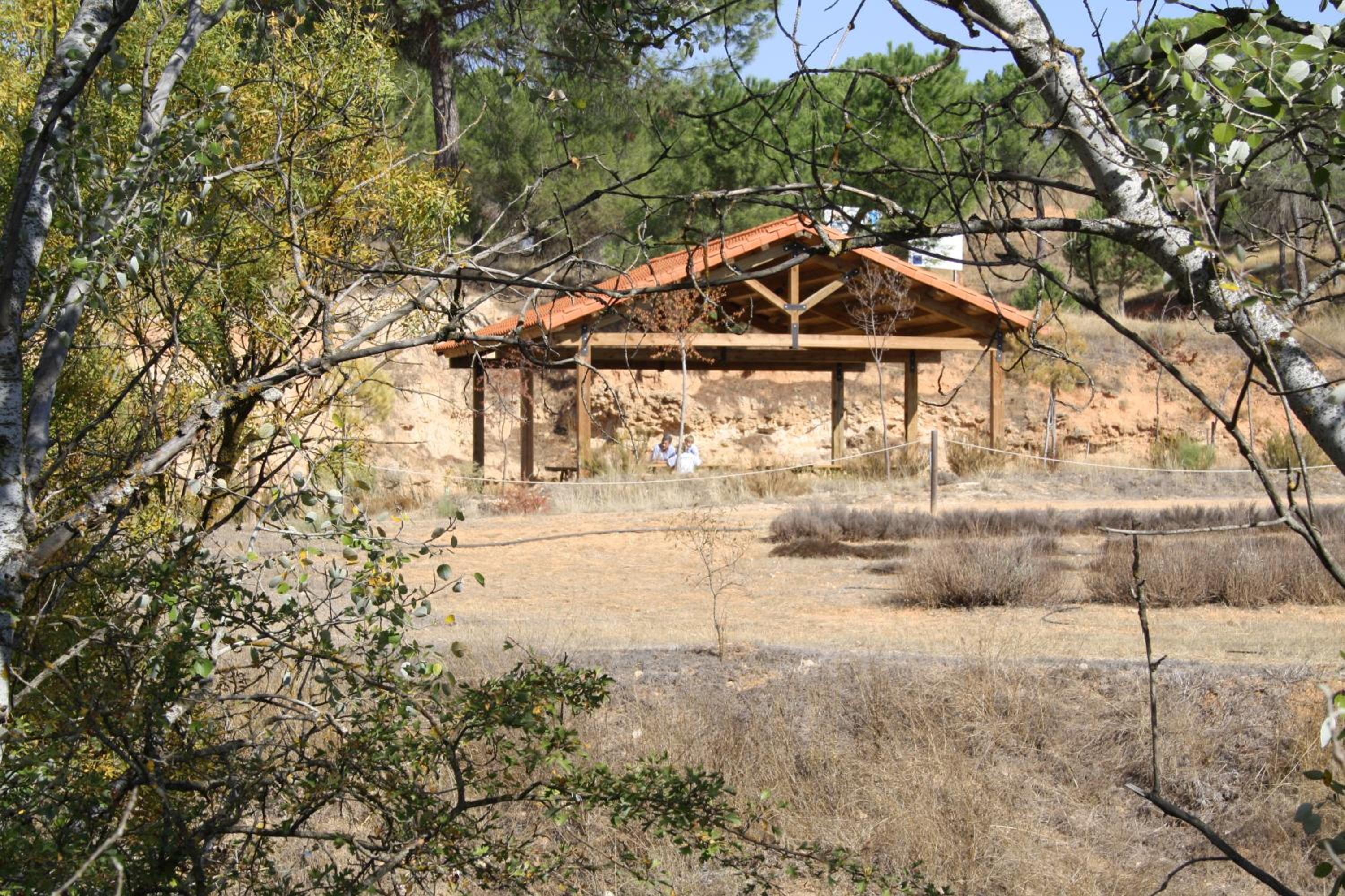 Photo 21