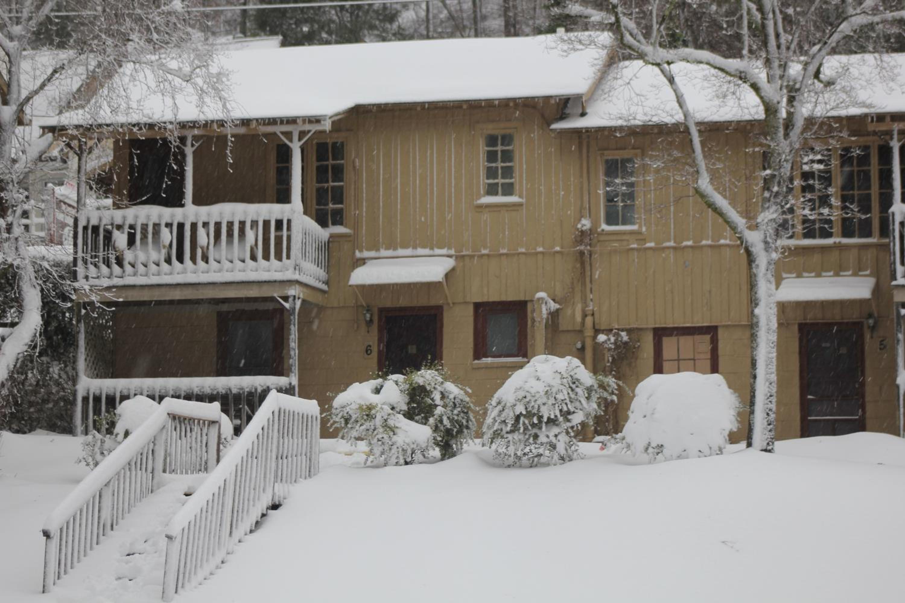 The Evening Shade River Lodge and Cabins