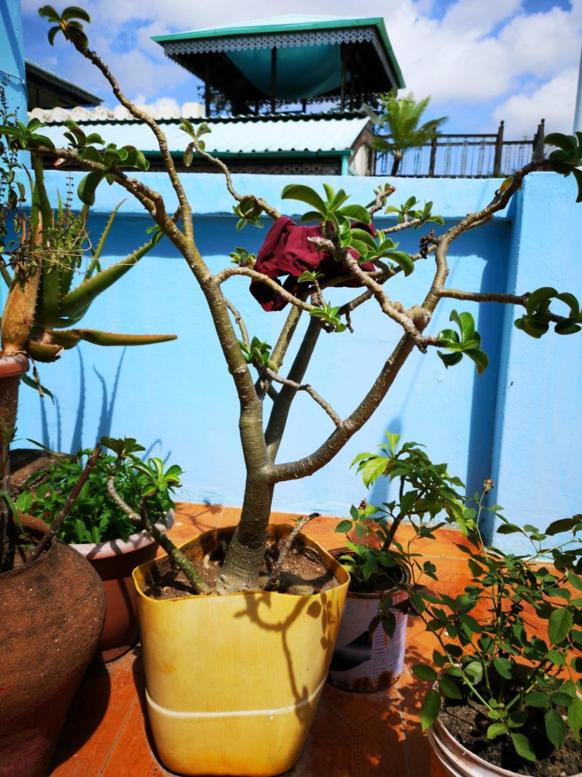 Photo 47