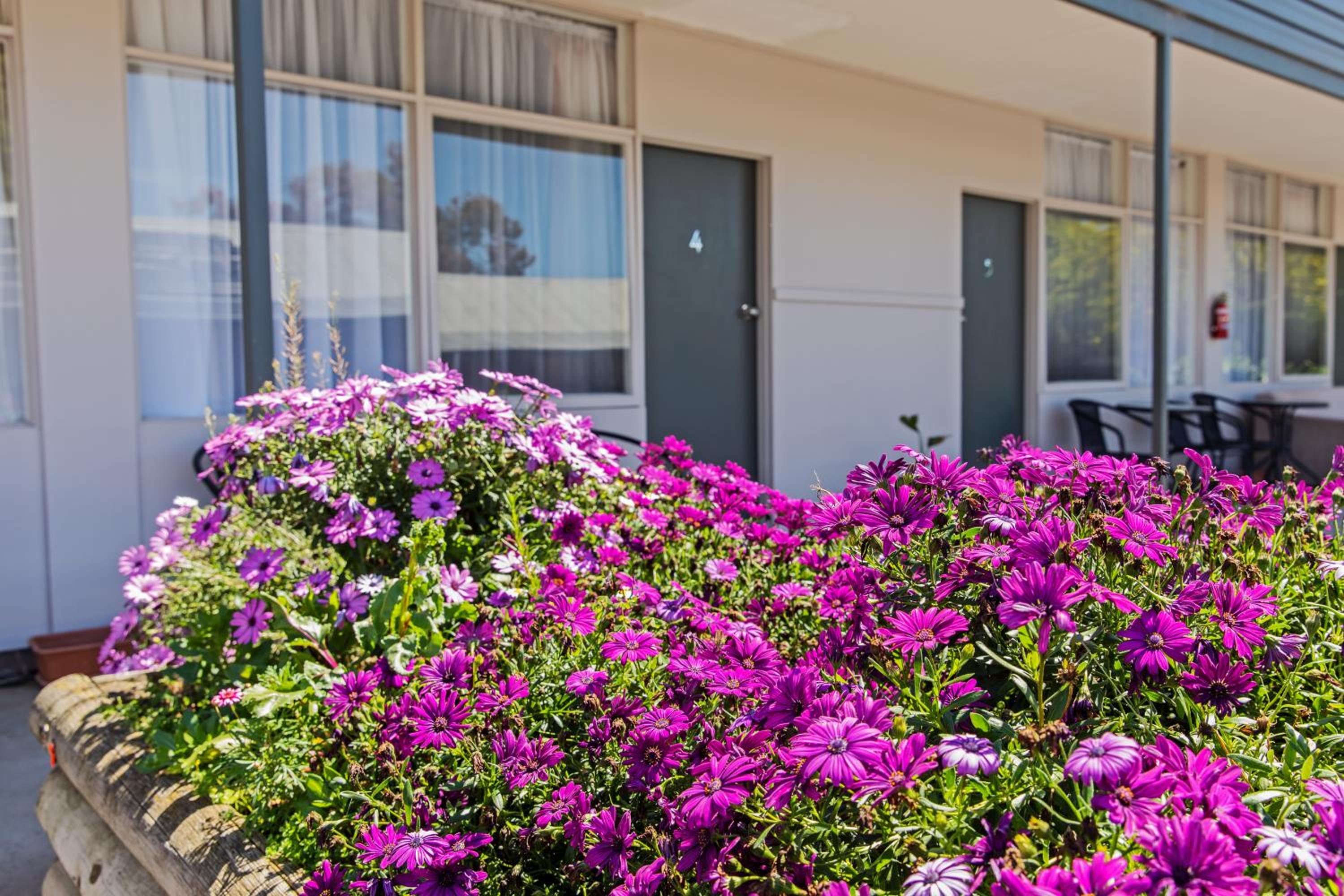 Maffra Motor Inn