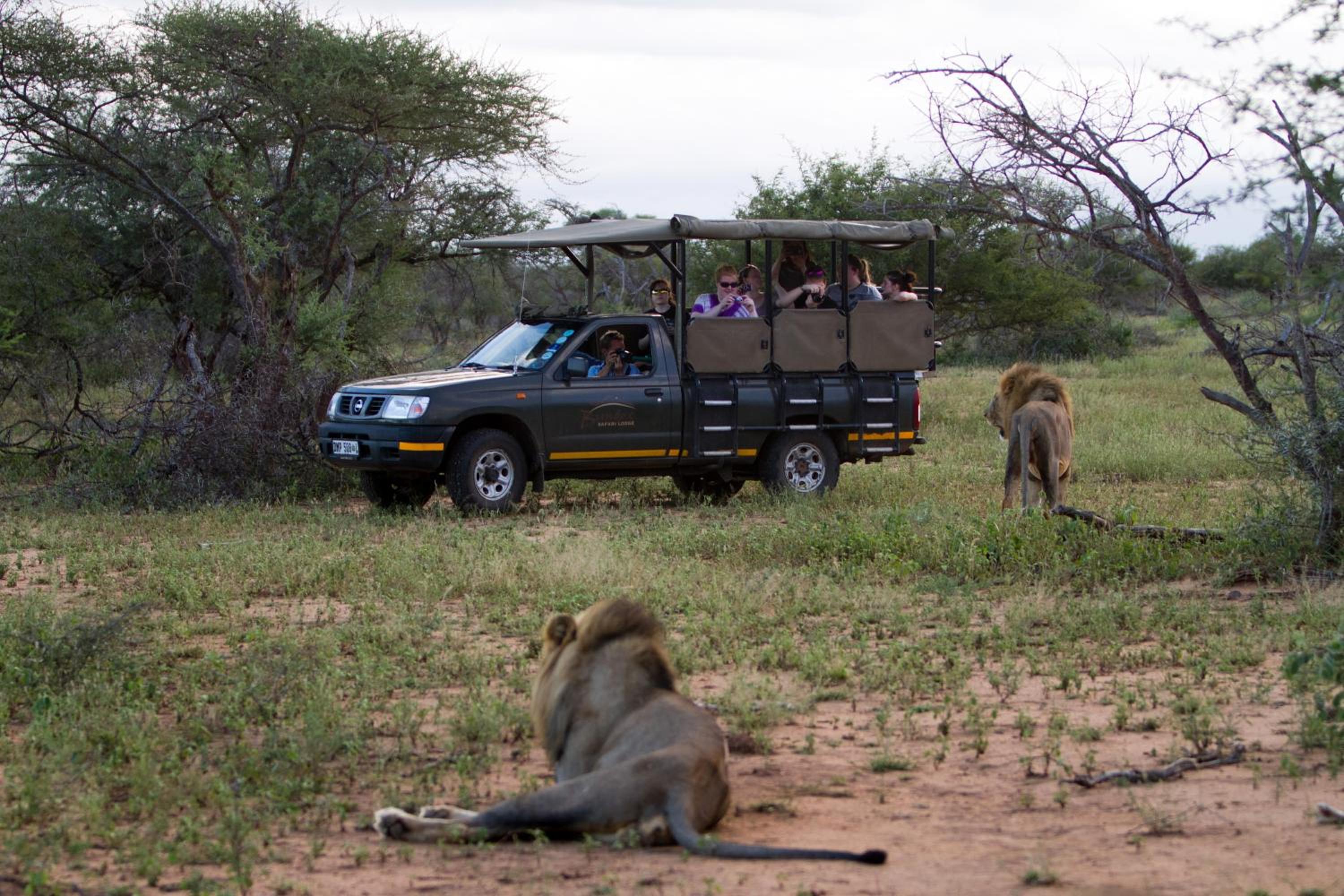 Bundox Safari Lodge