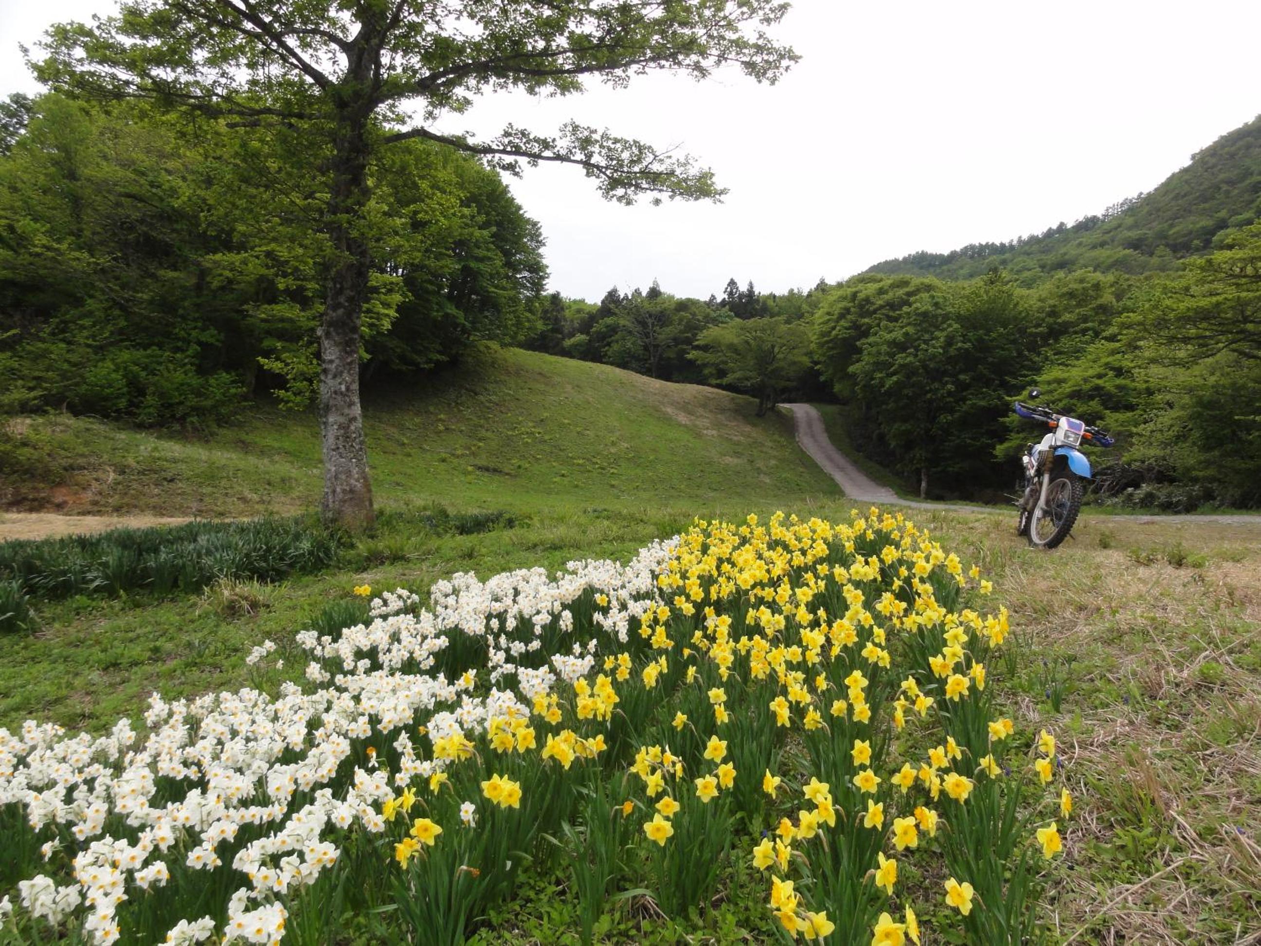 Yonagoya view 5