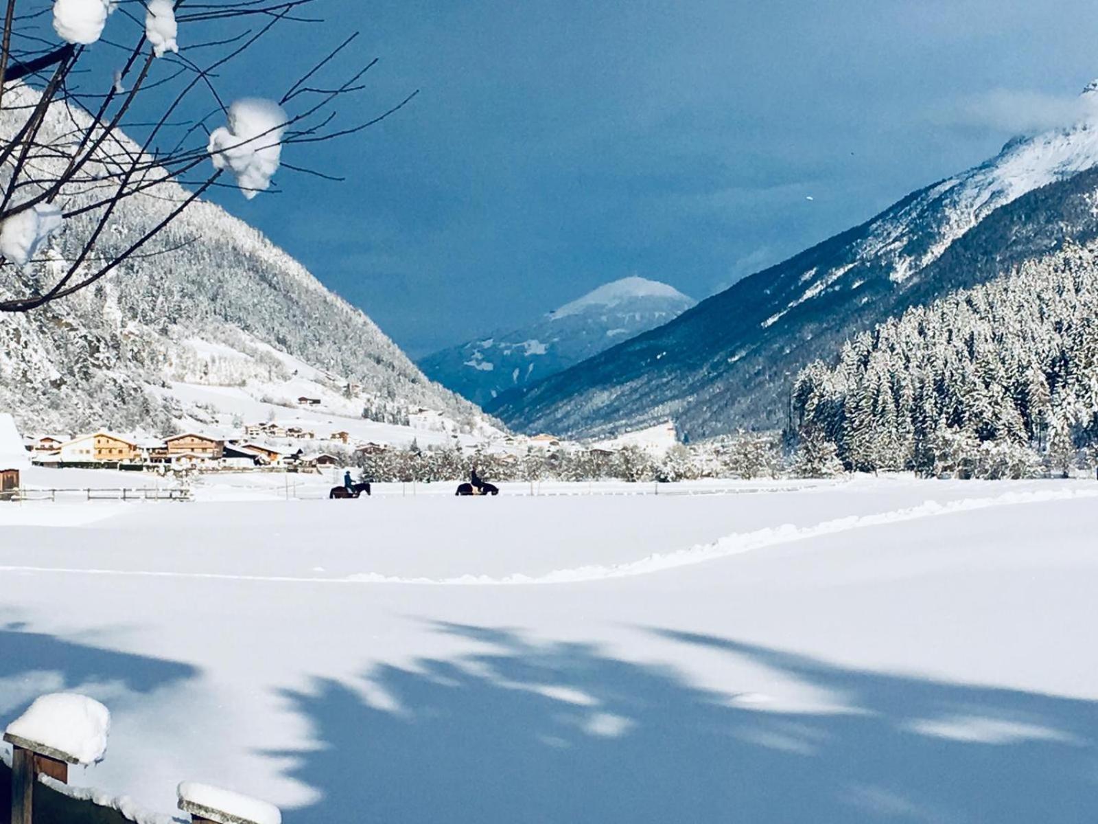 Photo 71