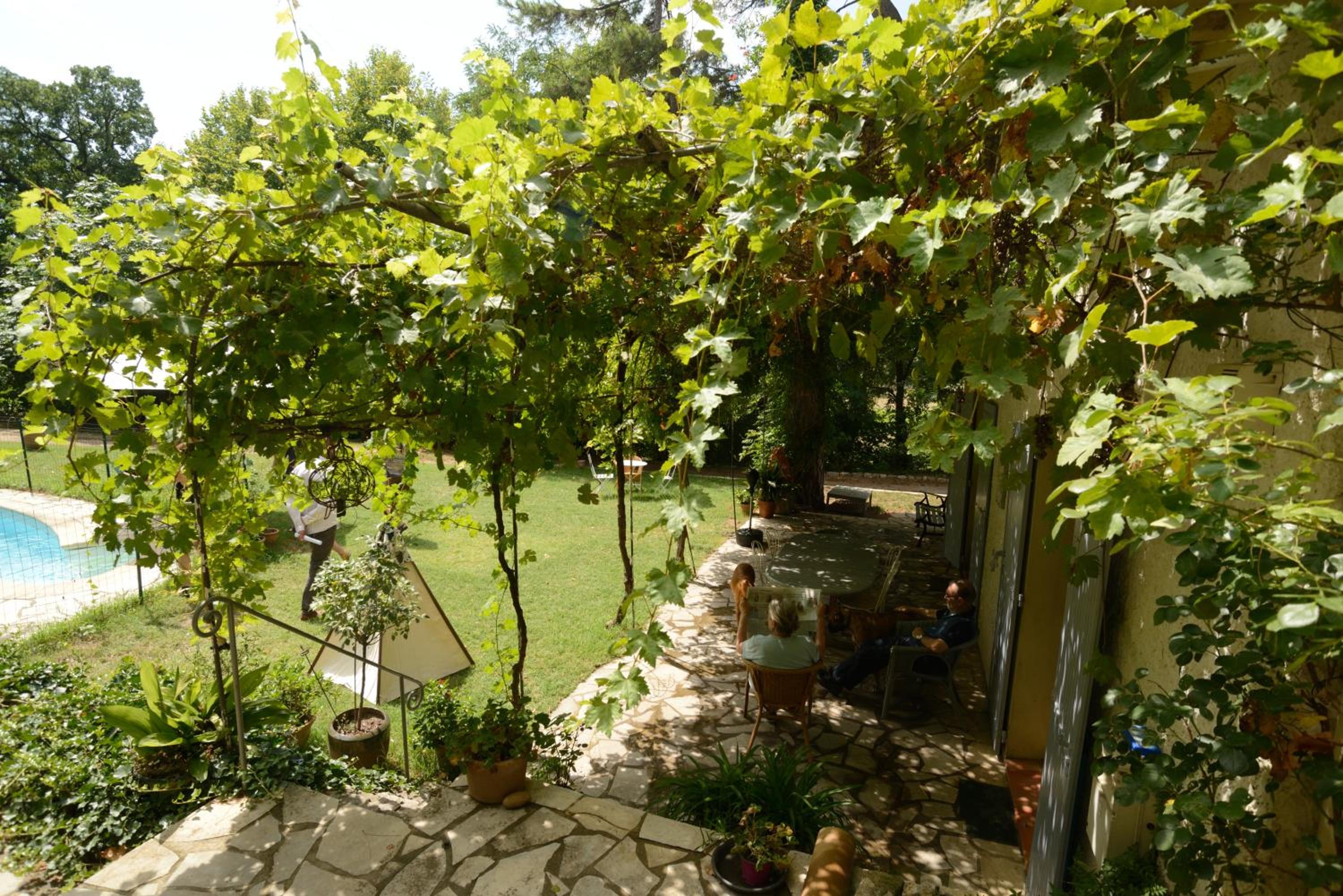Photo 11