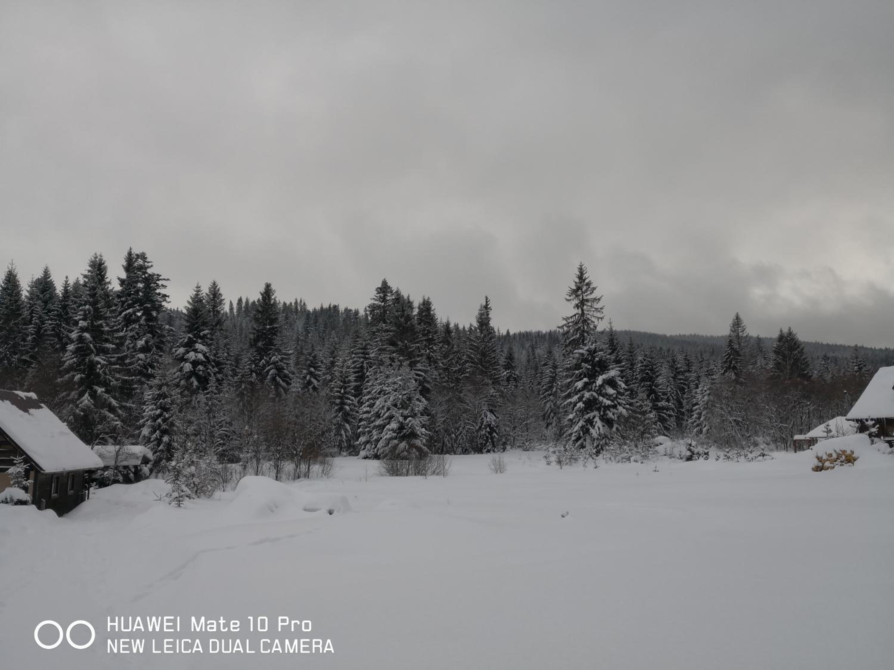 Photo 34