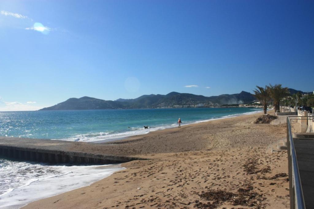 ROYAL CANNES APPARTEMENT photo 2